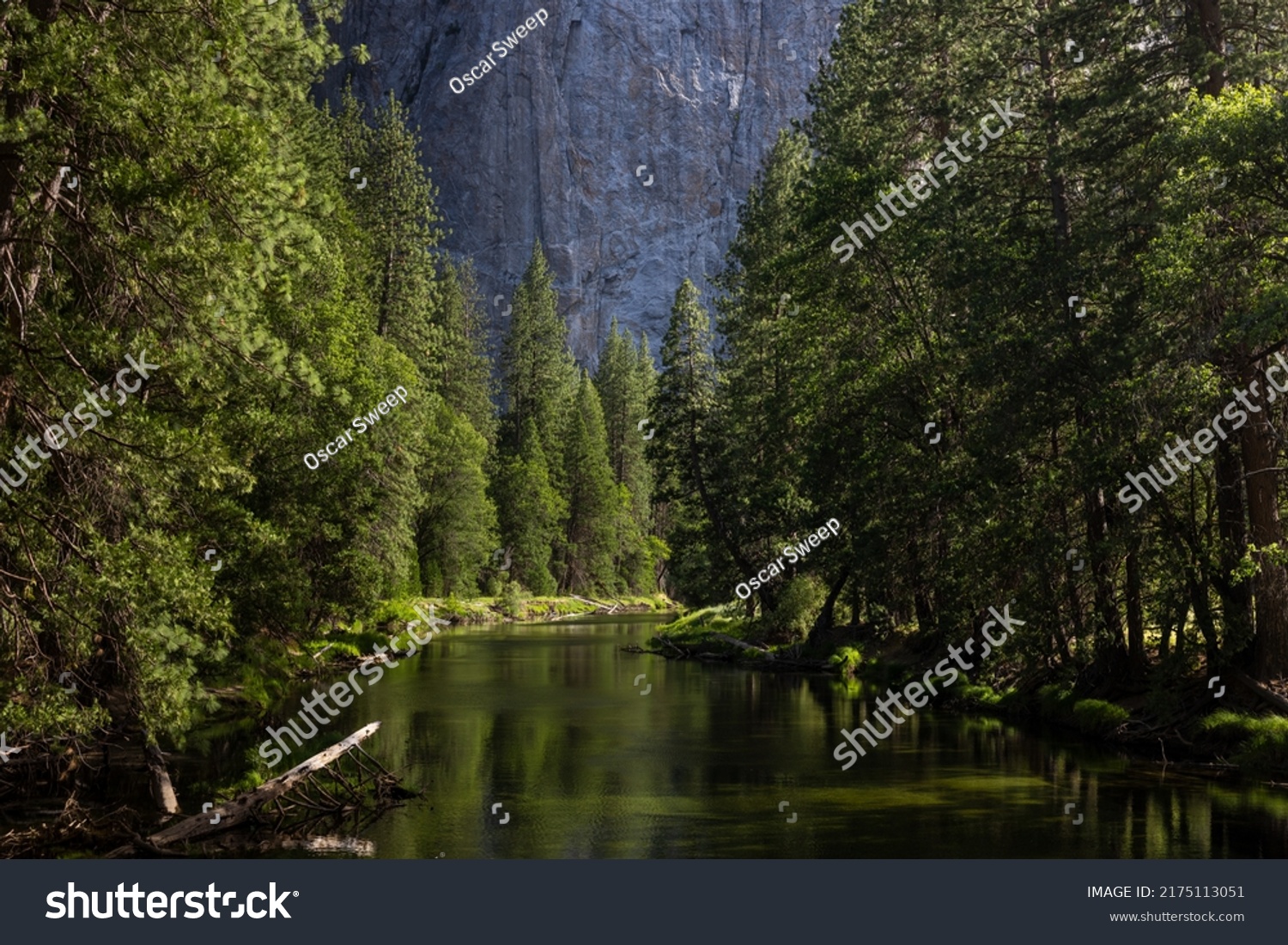 Scenic view of famous Yosemite Valley green river on a beautiful sunny day, Yosemite National Park, California, USA #2175113051