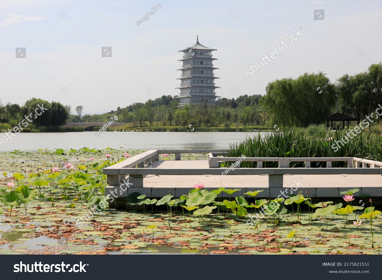 The Changan Tower of xi 'an International Horticultural Exhibition in Shaanxi Province #2175821551