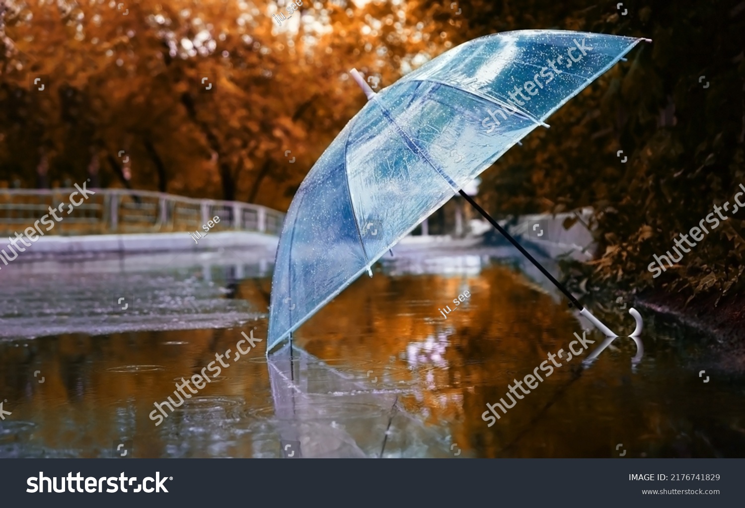 transparent umbrella in water drops in puddle on road, natural abstract blurred background. autumn landscape. symbol of rainy season, bad wet stormy weather. melancholy mood #2176741829