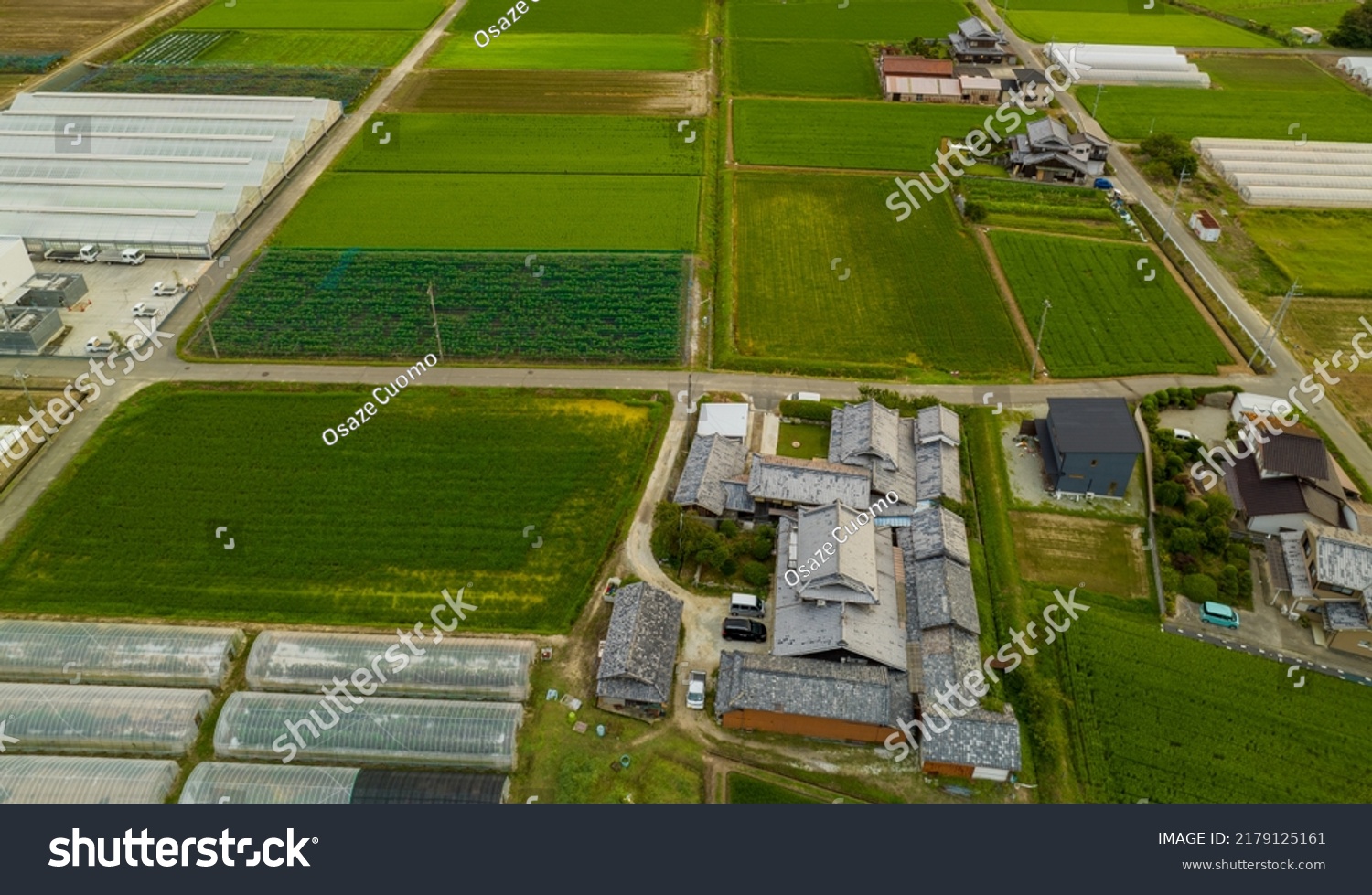 Aerial view of large Japanese home surrounded by rice fields #2179125161