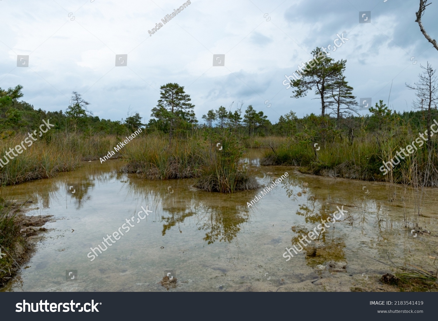 landscape withSulfur Pond, which are water llamas formed on the periphery of a moss bog, they are supplemented and maintained by the inflow of water from hydrogen sulphide sour #2183541419