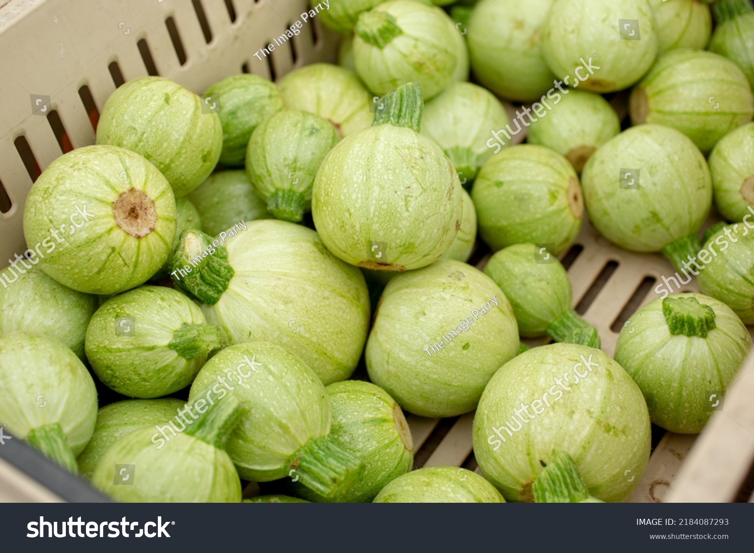 A view of a crate full of cue ball squash, on display at a local farmers market. #2184087293