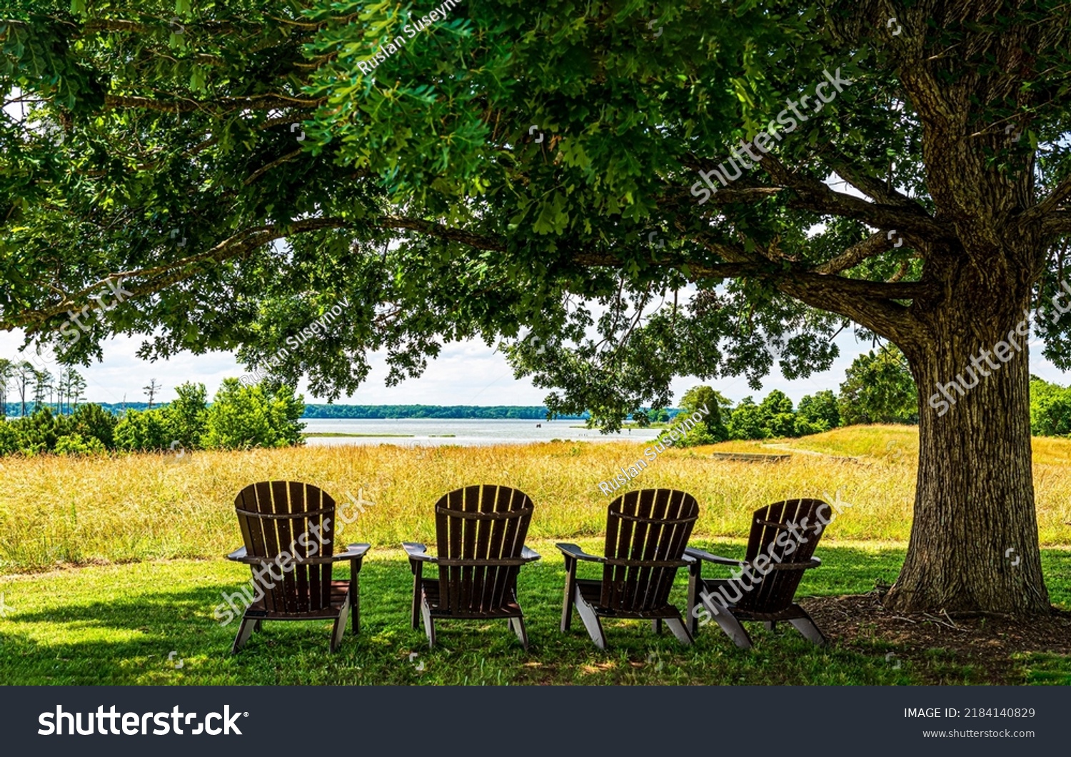 Four wooden chairs under an old tree. Wooden chairs under tree. Chairs under tree. Chairs under tree for relax #2184140829