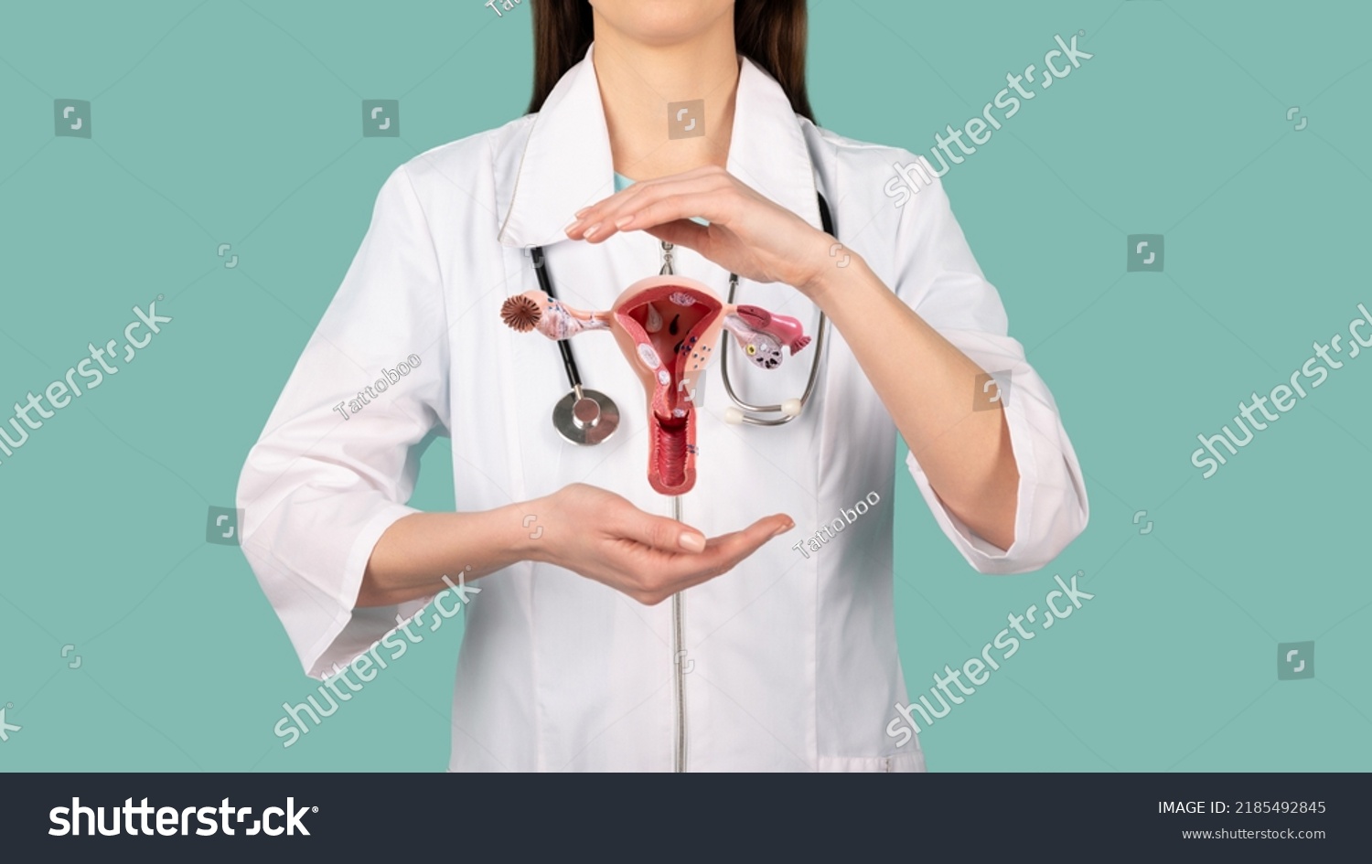Female doctor Gynecologist with a stethoscope holds model of female reproductive system in the hands. Help and care concept #2185492845