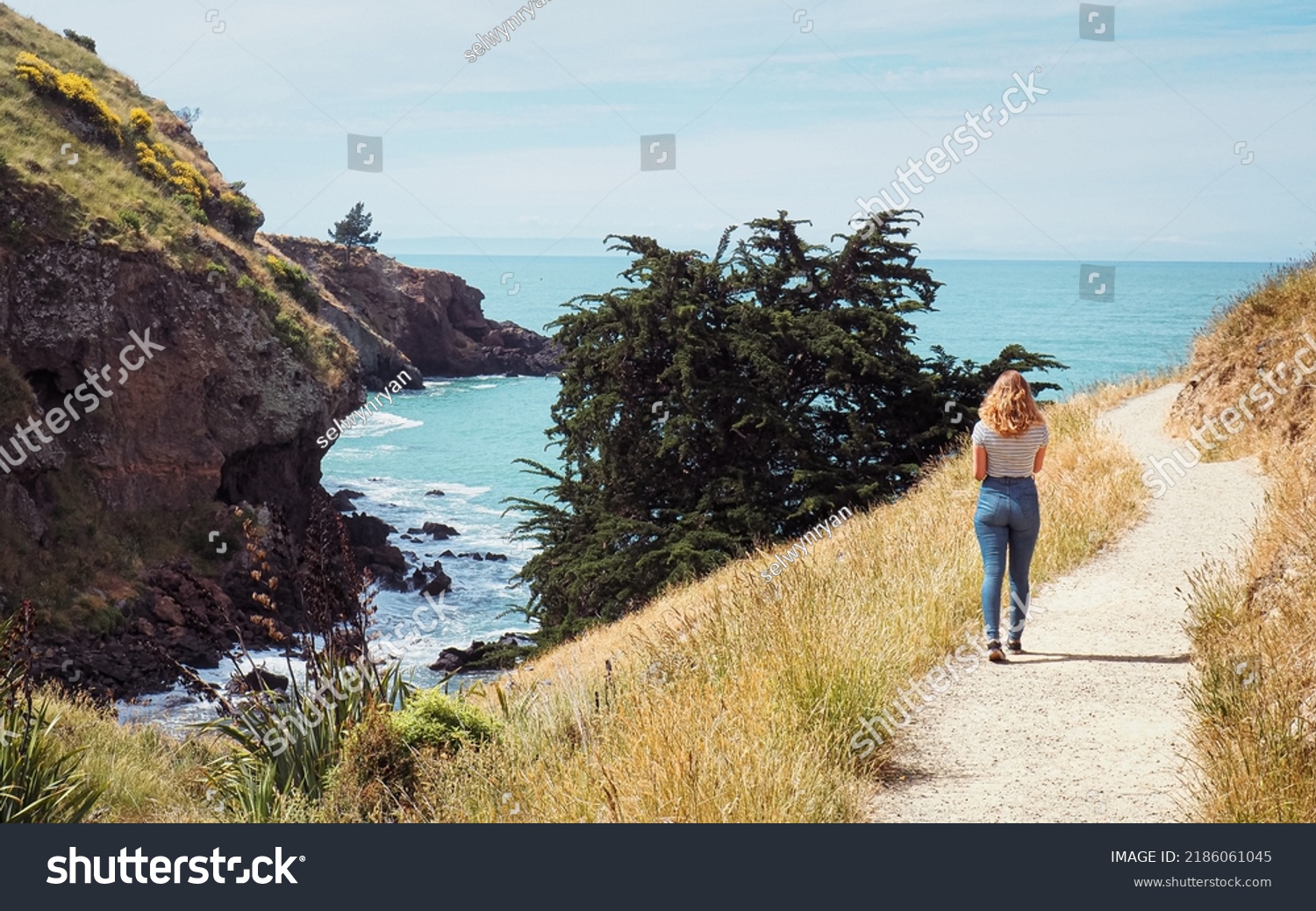 Godley Head. Christchurch, Canterbury, New Zealand.

Young lady walks along the rugged coastline of the Godley Head Loop Track. Views of the Pacific Ocean beyond on a hot summer day in Christchurch.

 #2186061045