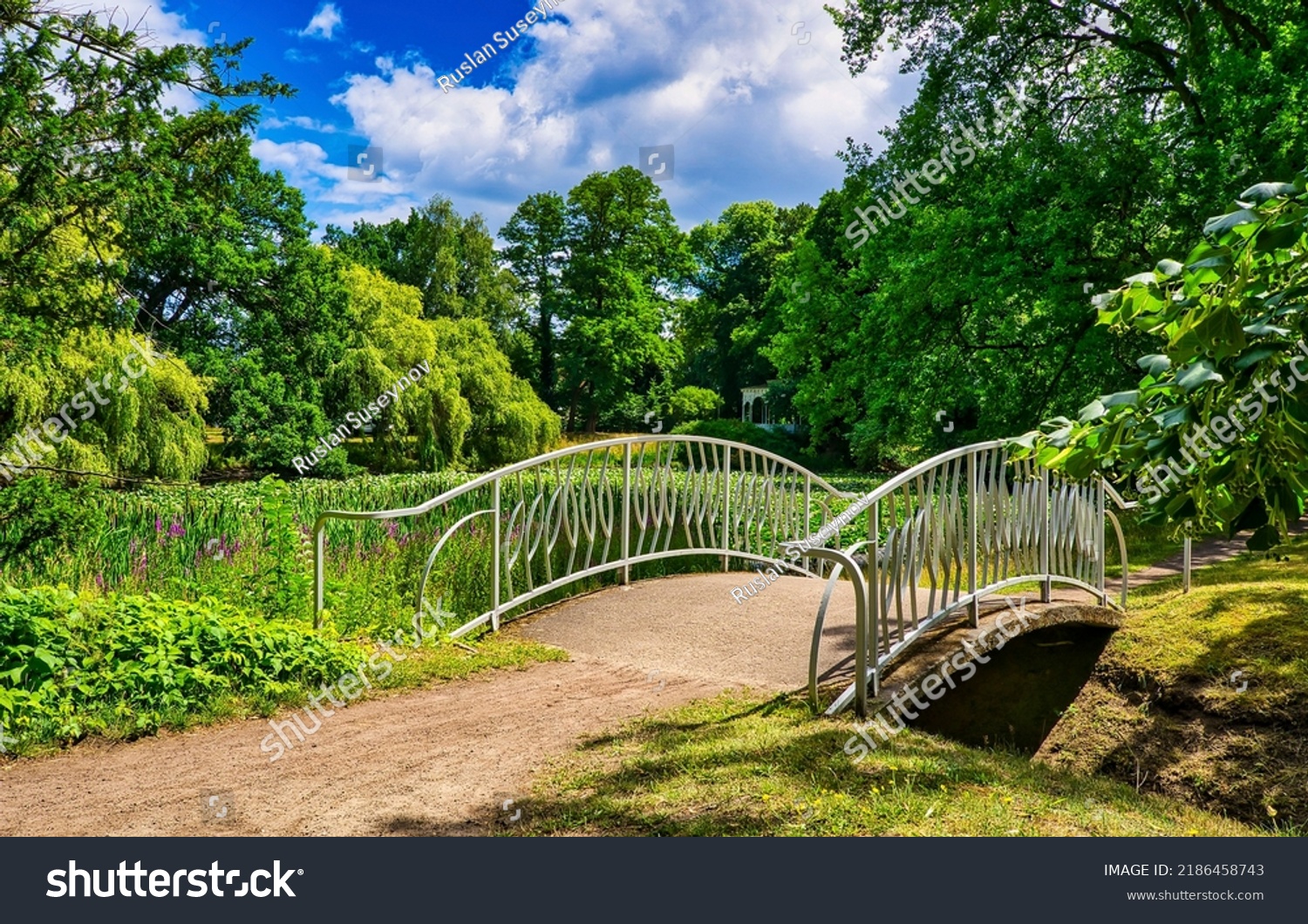 Pedestrian bridge in the summer park. Summer park bridge. Bridge in summer park. Bridge in summer park landscape #2186458743