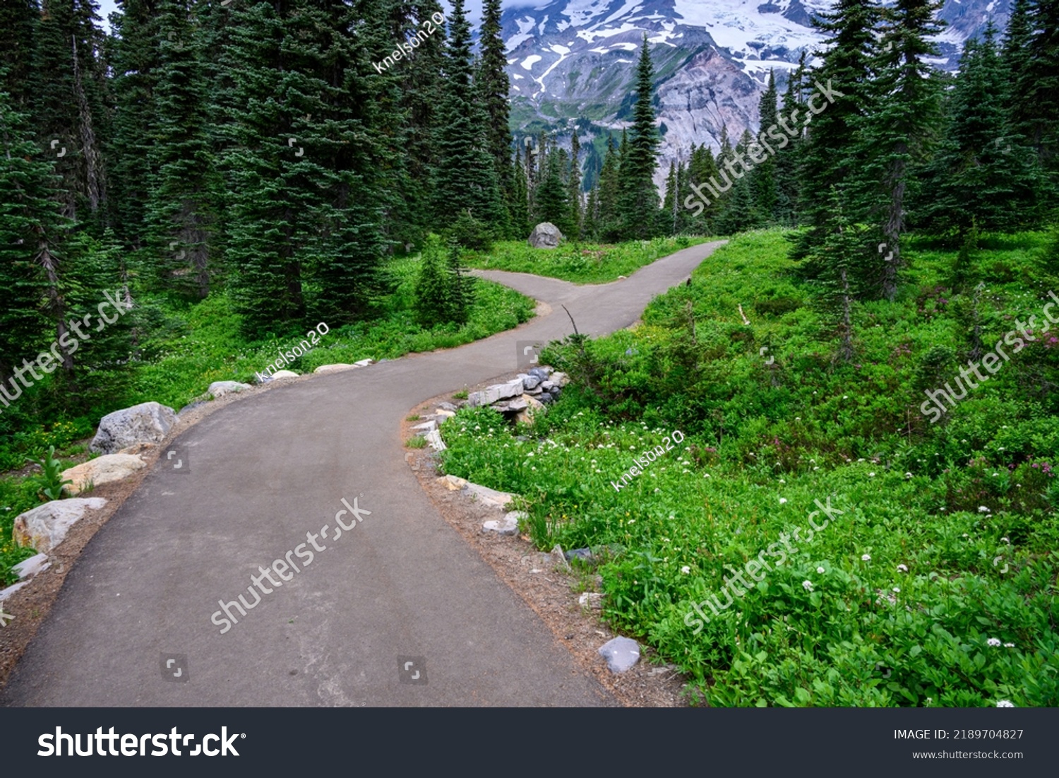 Nisqually Vista Trail through an alpine meadow and woods, Paradise area at Mt. Rainier national park
 #2189704827