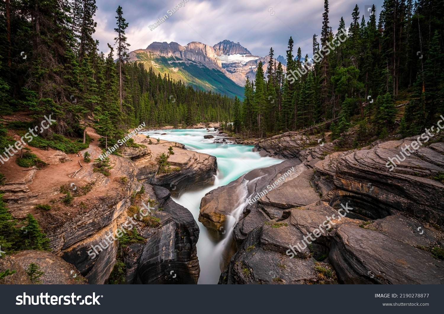 River in mountain forest. River tree near forest waterfall #2190278877