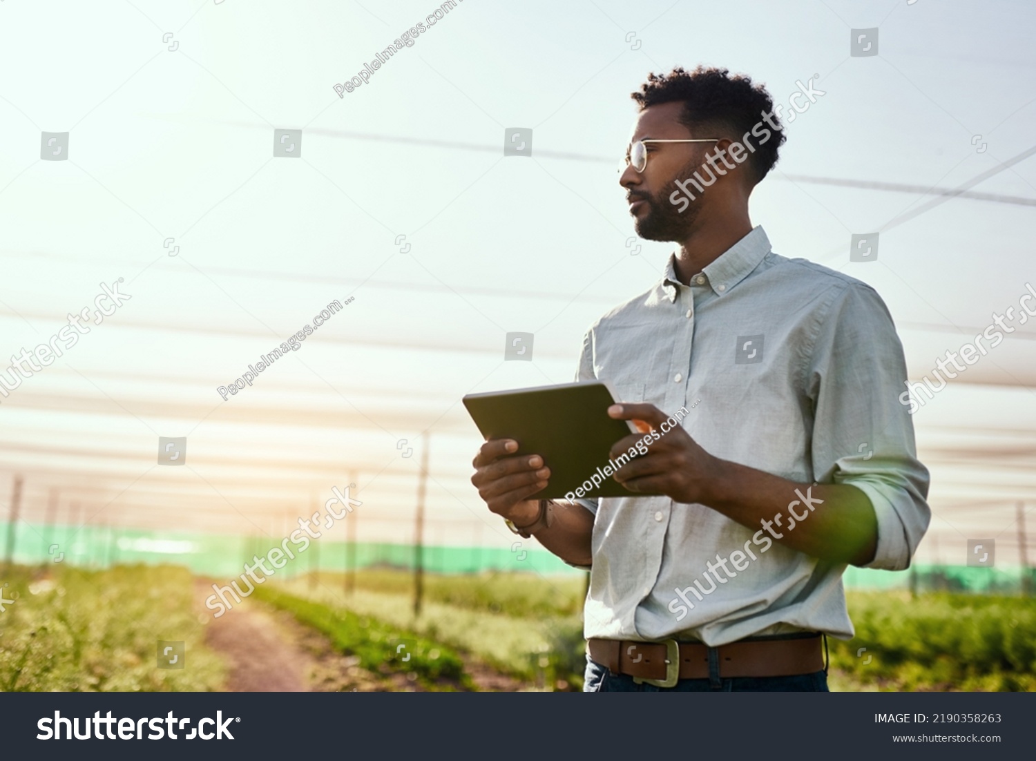 Thinking farmer with digital tablet checking sustainable farming growth, progress or preparing farm export order on tech. Serious man, gardener or greenhouse environmental scientist on a rural #2190358263