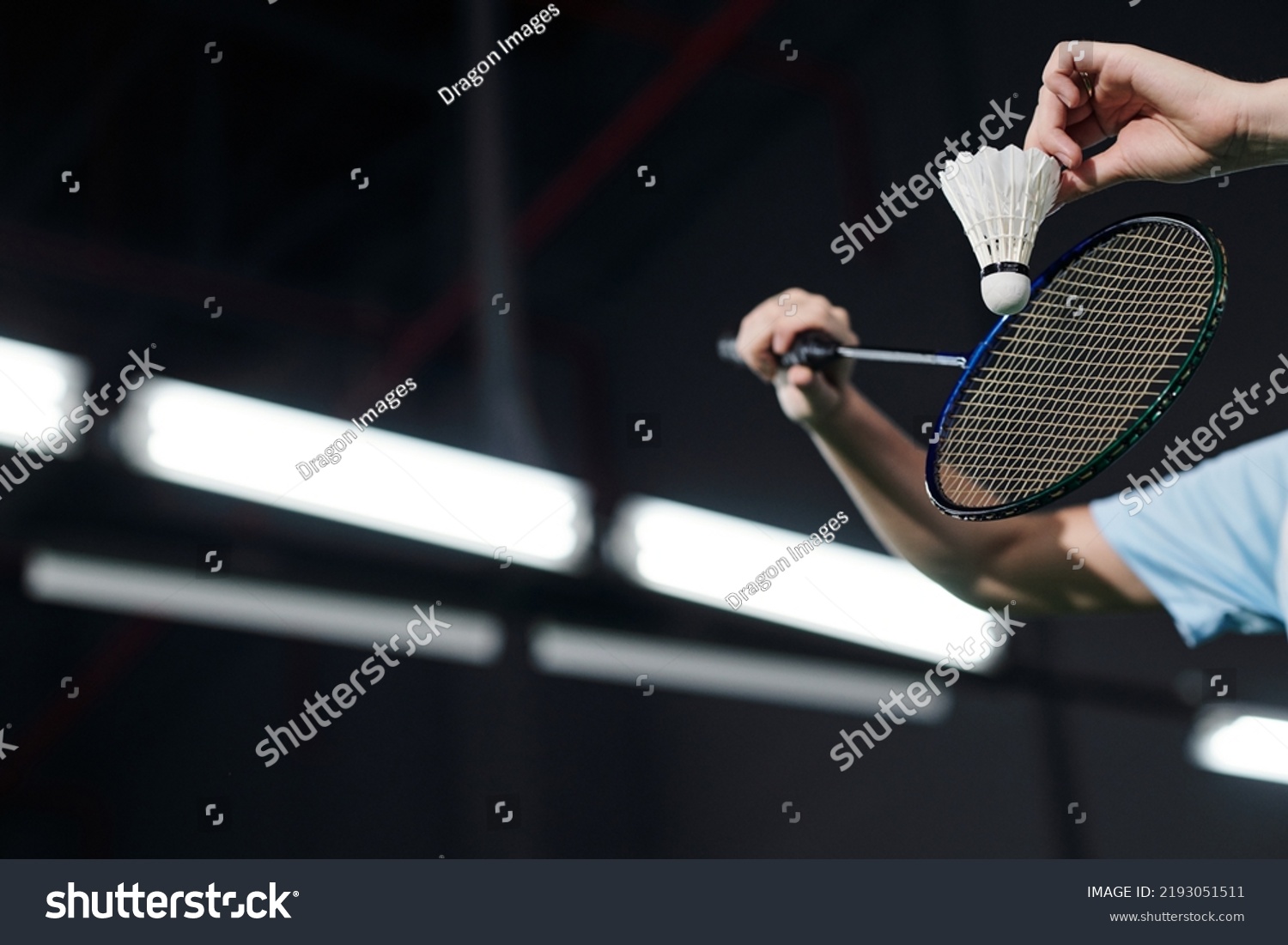 Hands of male player holding racket and hitting shuttlecock on dark badminton indoor court #2193051511