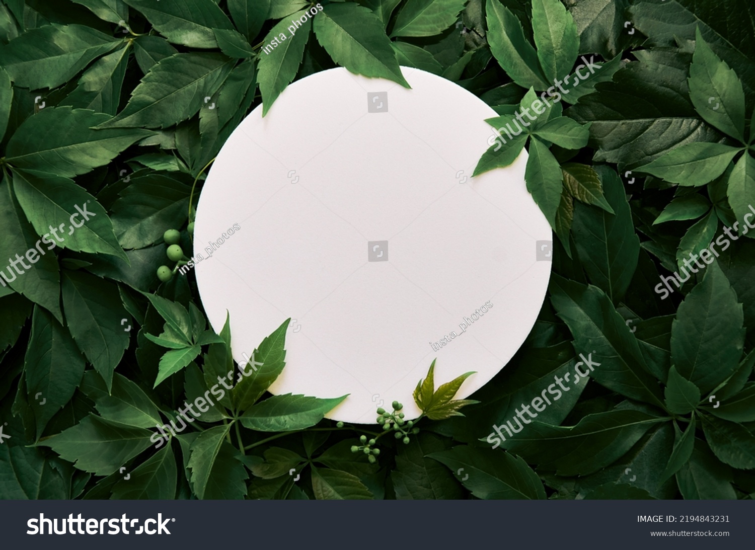 White round template podium mockup for natural organic cosmetic product presentation ad concept on green eco forest fresh leaves nature flat lay background, trendy stylish minimalist flatlay mock up #2194843231