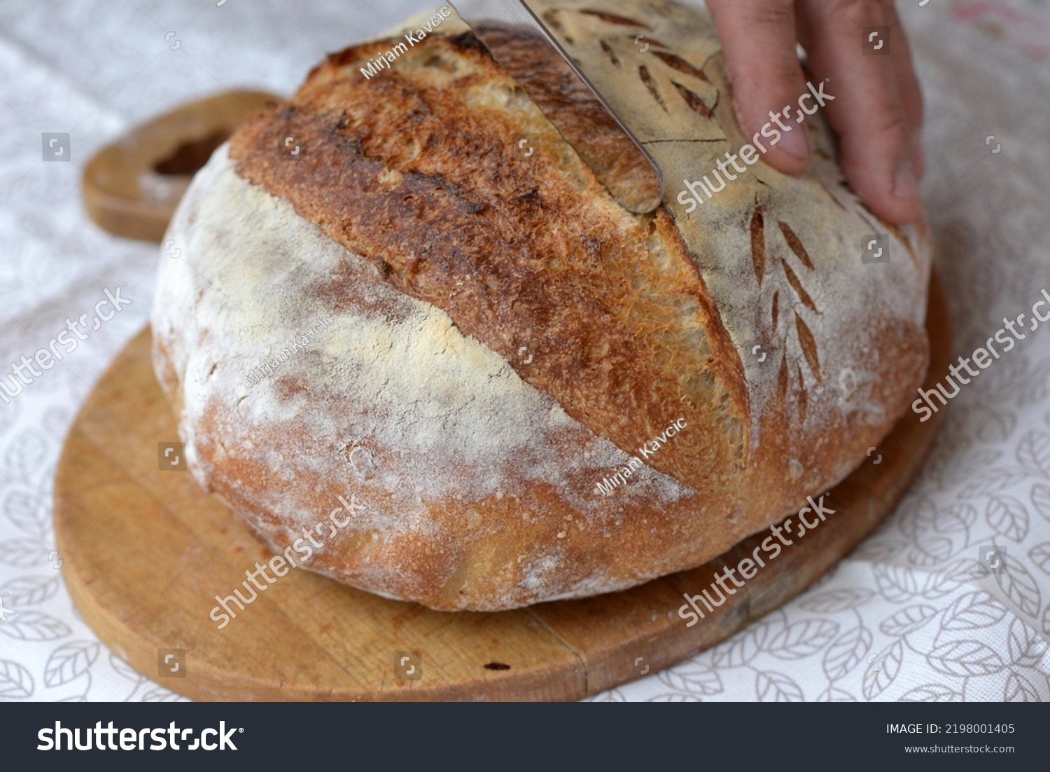 Baker slicing fresh baked wheat bread loaf. Loaf of crusty sourdough bread with wholegrain flour and seeds. Baking holding knife to cut wholegrain bread on half. Crusty bread with hand scoring. #2198001405
