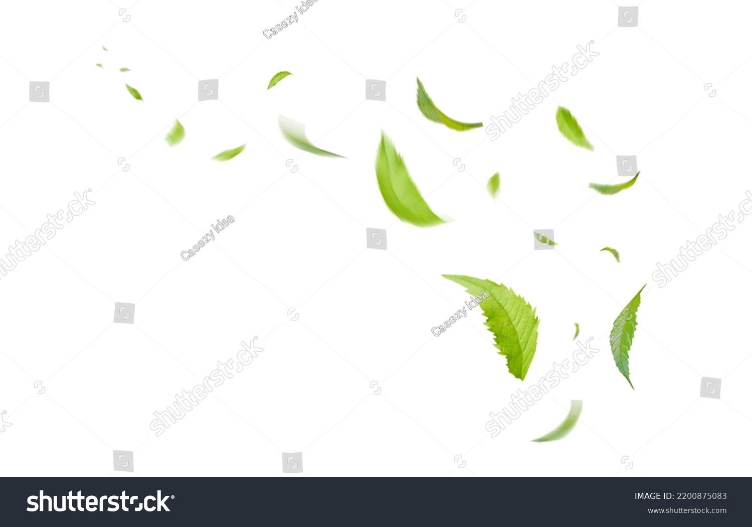 Green Floating Leaves Flying Leaves Green Leaf Dancing, Air Purifier Atmosphere Simple Main Picture	 #2200875083