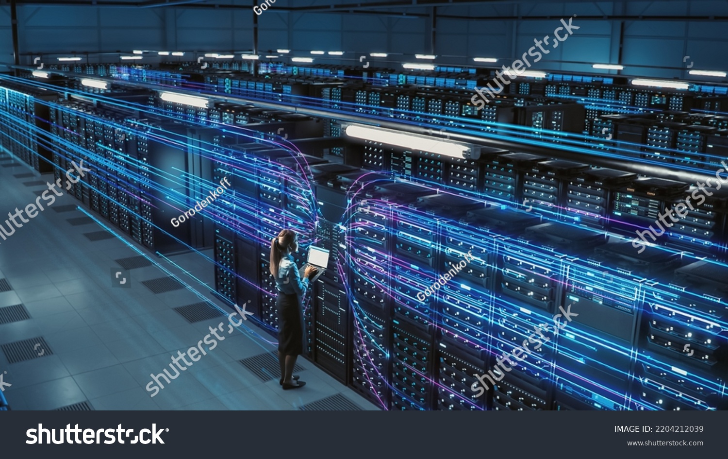 3D Graphics Concept: Big Data Center Female Chief Technology Officer Using Laptop Standing In Warehouse, Activates Servers, Information Digitalization Starts. SAAS, Cloud Computing, Web Service #2204212039