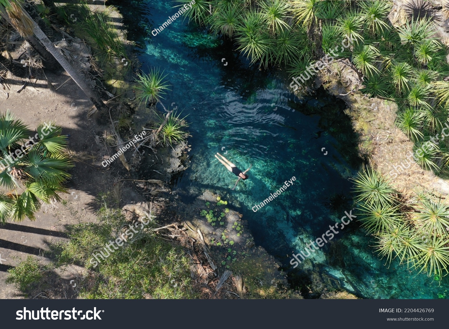 Aerial drone landscape view of young Australian tourist woman swimming in Bitter Springs natural thermal hot pools in the Northern Territory of Australia. #2204426769