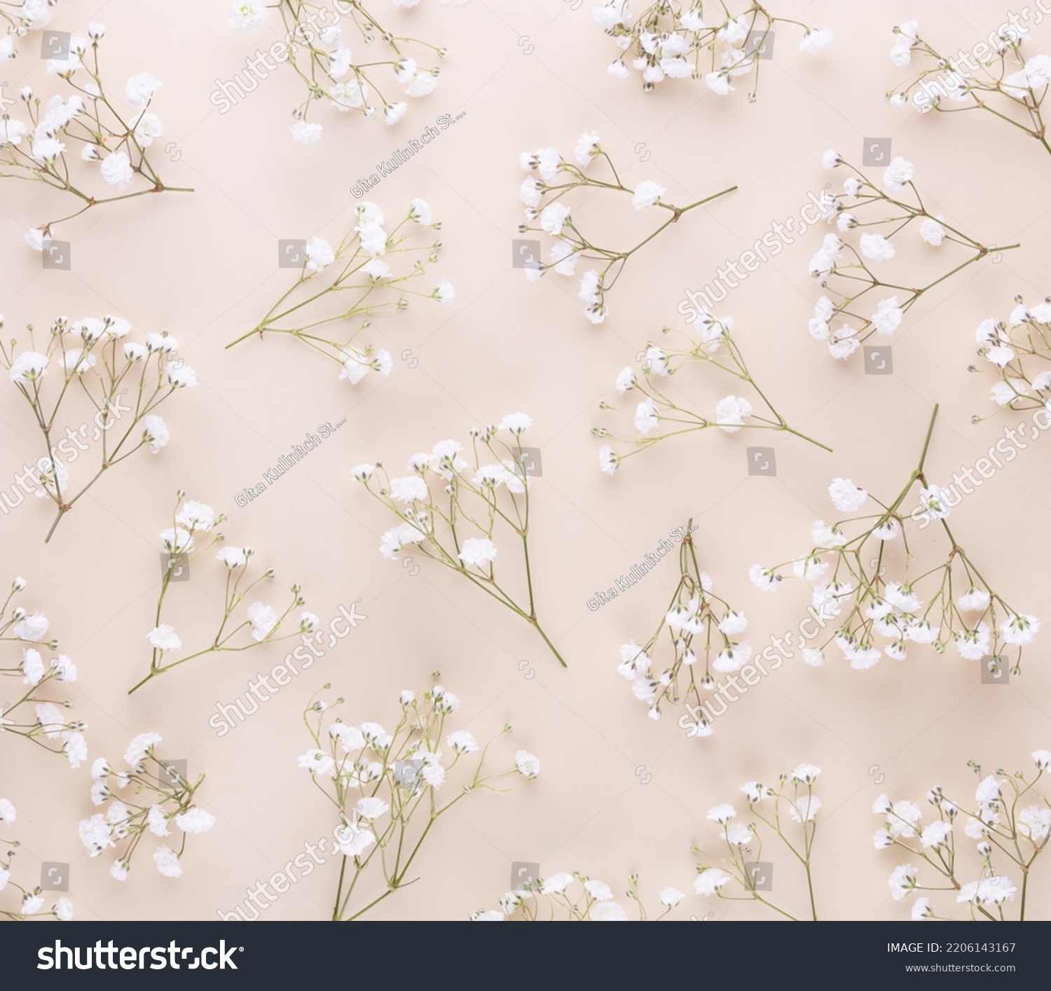 Gypsophila flowers on pastel background. Flat lay, top view, copy space. #2206143167