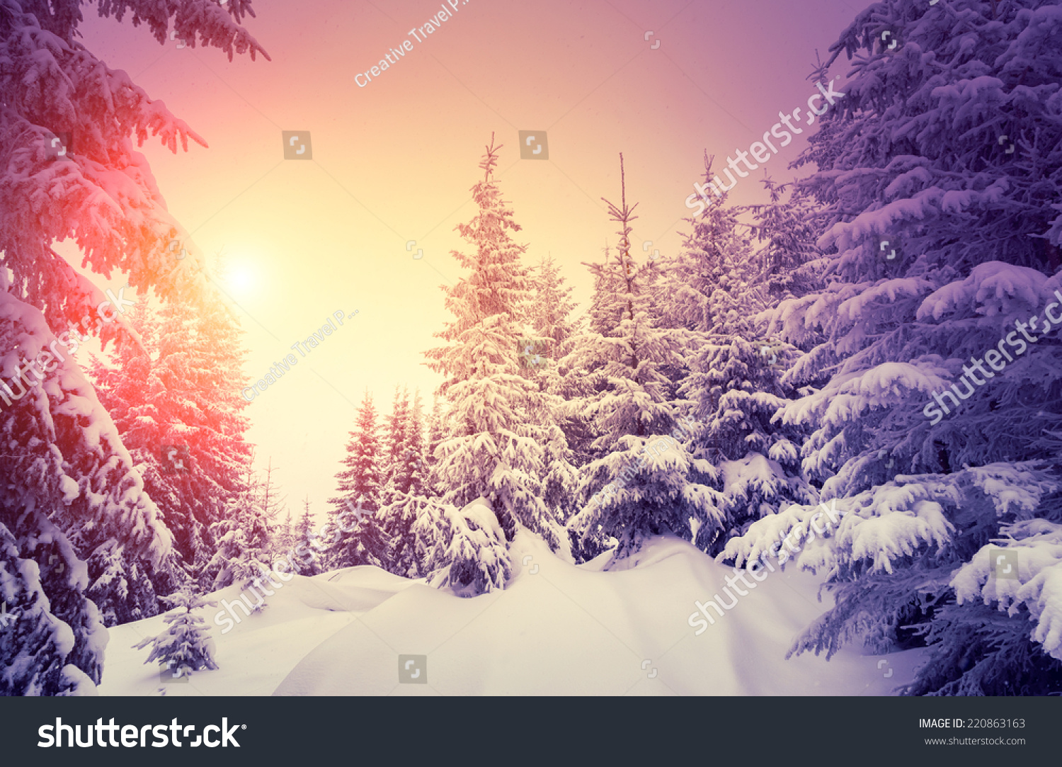 Fantastic landscape glowing by sunlight. Dramatic wintry scene. Natural park. Carpathian, Ukraine, Europe. Beauty world. Retro style filter. Instagram toning effect. Vivid violet. Happy New Year! #220863163
