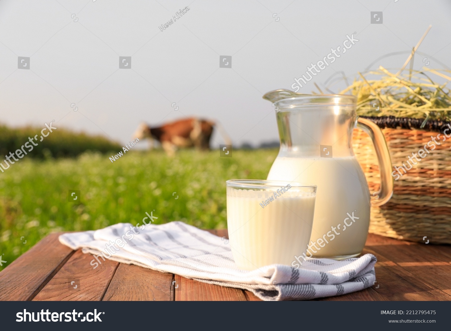 Milk with hay on wooden table and cow grazing in meadow #2212795475