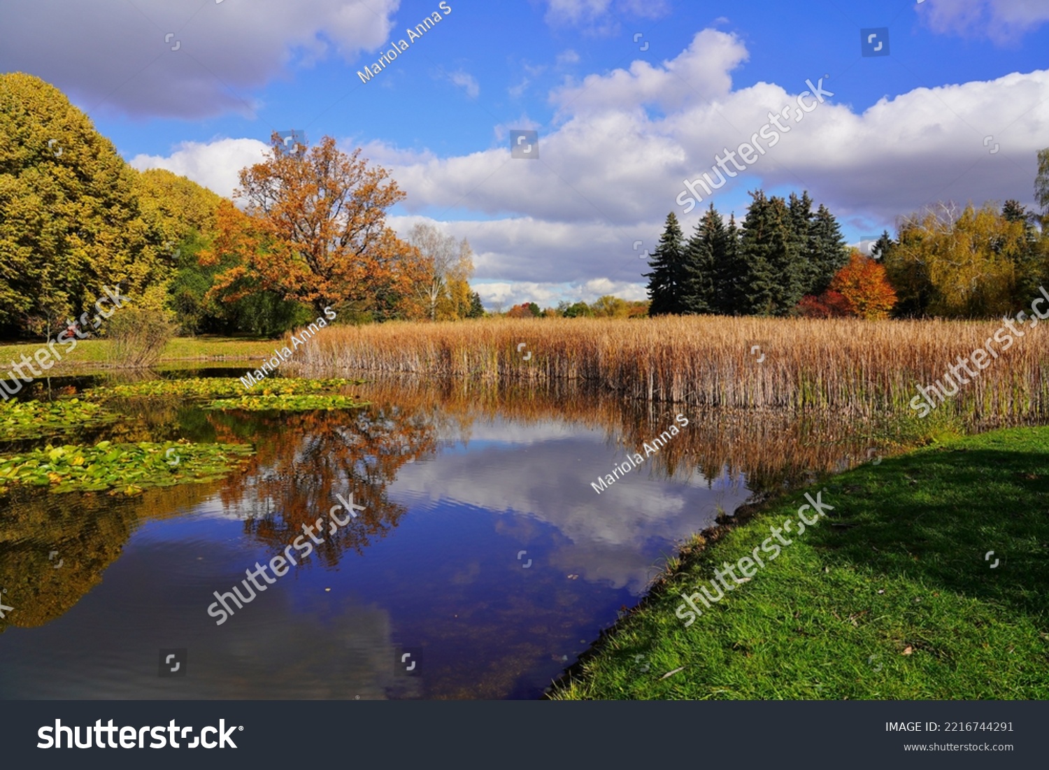 Small pond in the autumn park - A beautiful autumn day .Amazing  autumn landscape -  #2216744291