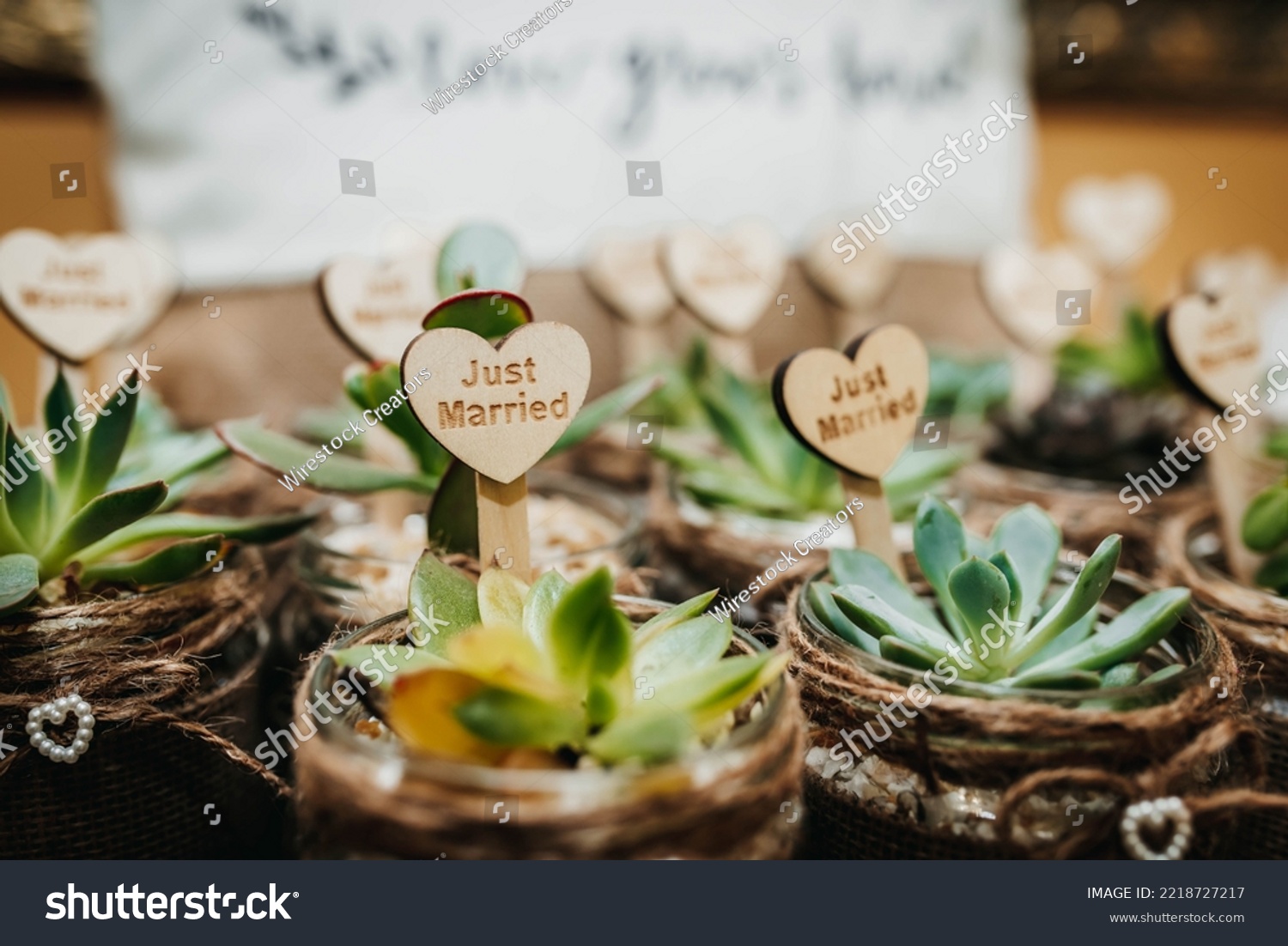 The small succulent wedding favors potted plant #2218727217