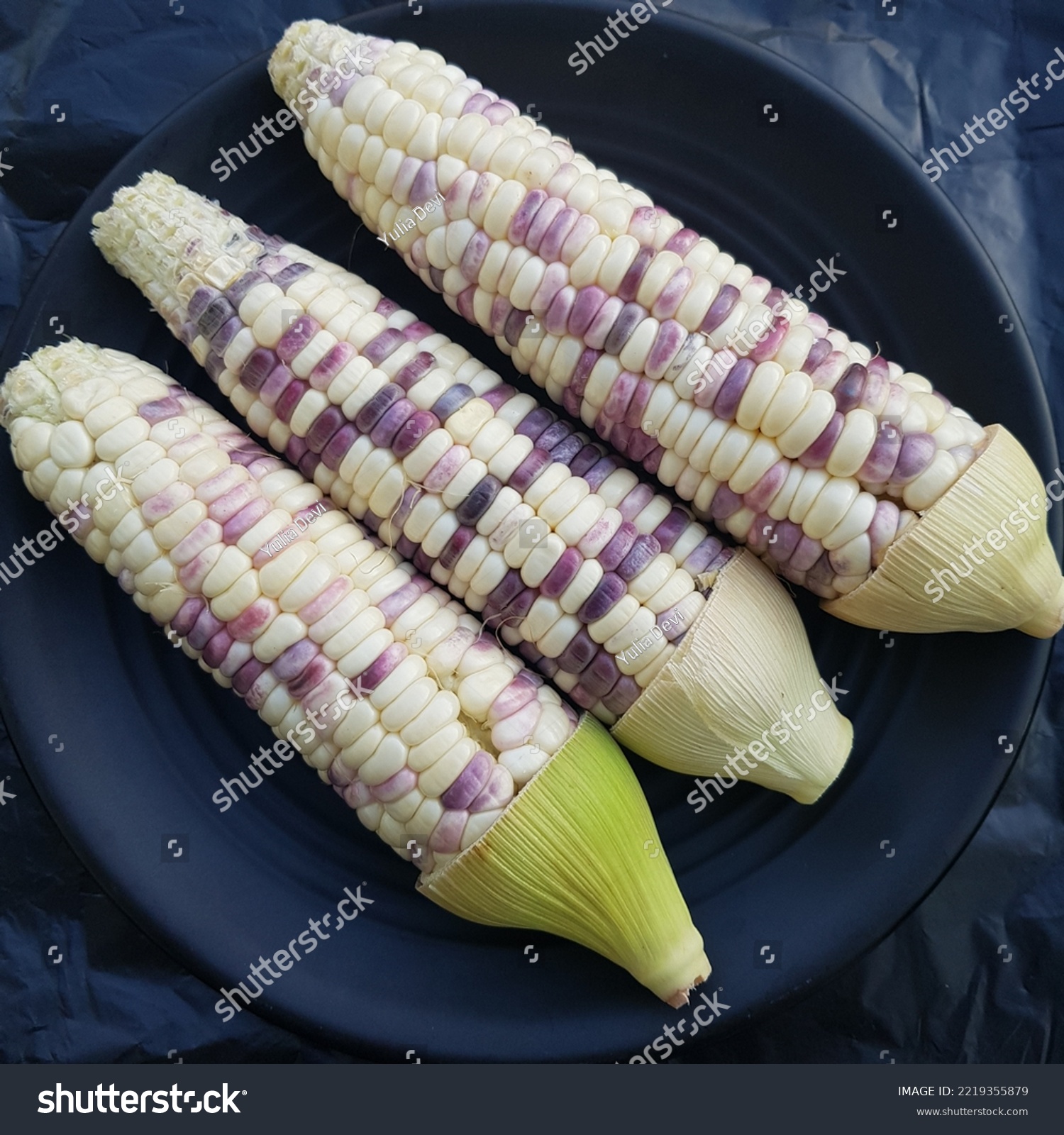 Glutinous corn or Waxy corn or Jagung pulut or Jagung ketan #2219355879