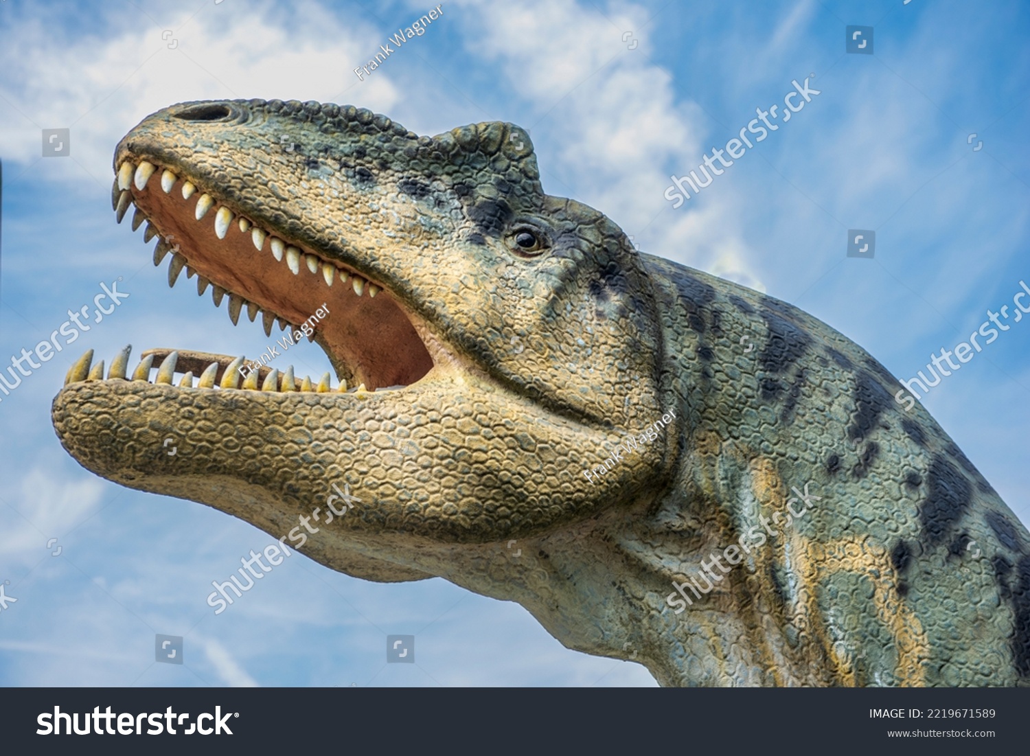 The wide open mouth with sharp teeth of the model of a predatory dinosaur #2219671589