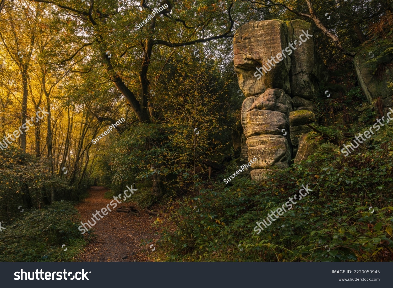 Autumn dawn at Eridge Rocks on the High Weald East Sussex south east England #2220050945