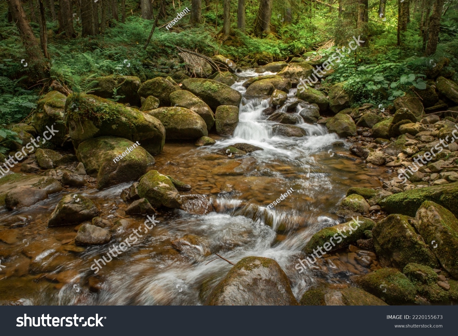 beautiful landscape with a small waterfall in a forest with stone terrain #2220155673