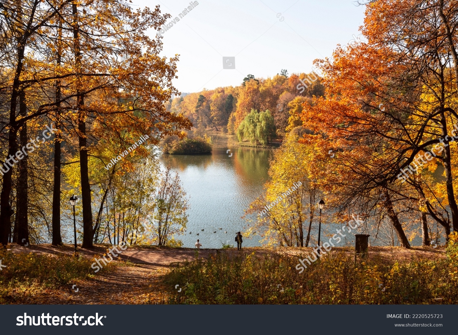 Beautiful autumn landscape - park, pond, trees with orange foliage #2220525723