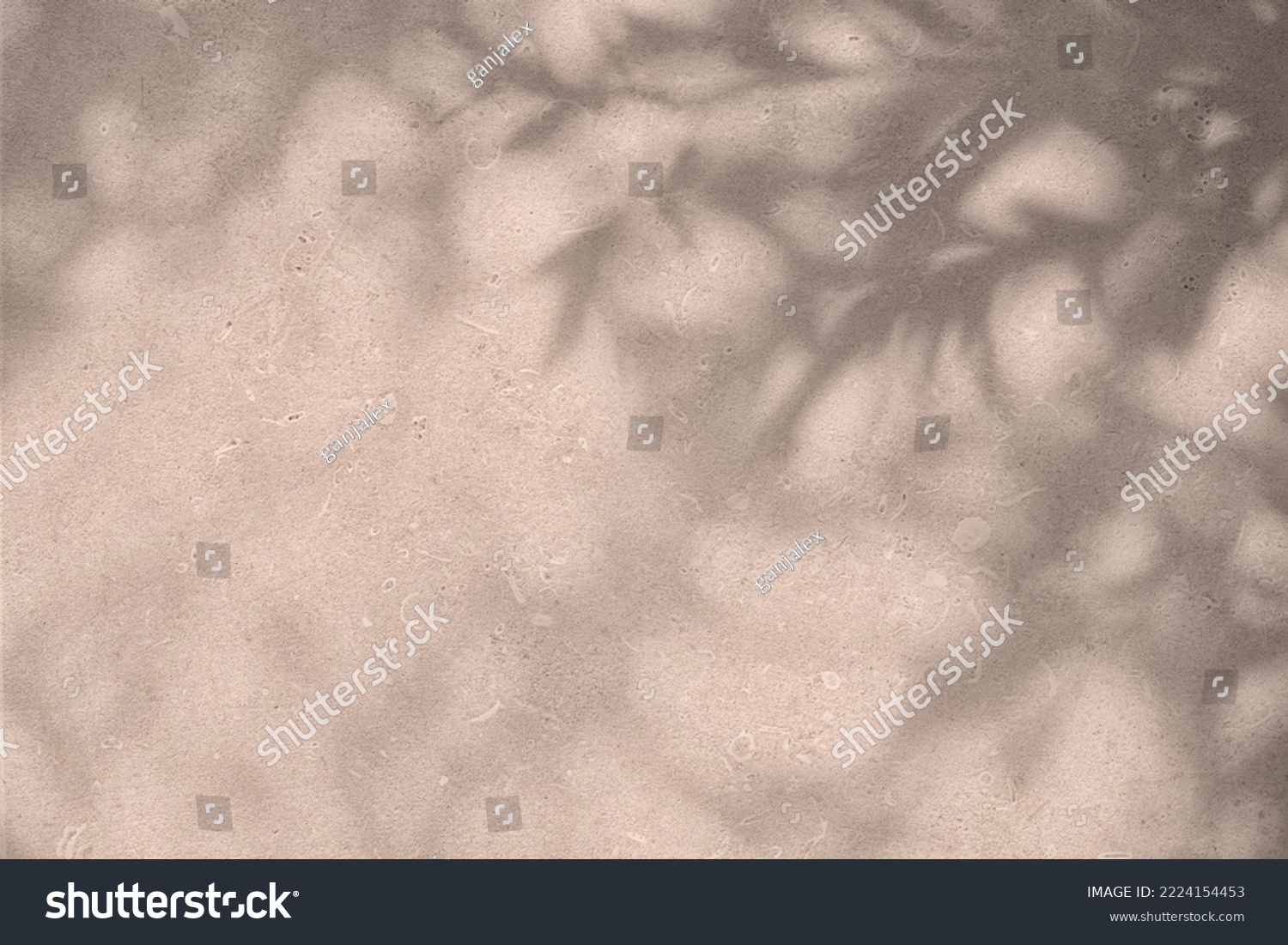 Shadow of leaves and flowers on pink concrete wall texture with roughness and irregularities. Abstract trendy colored nature concept background. Copy space for text overlay, poster mockup flat lay  #2224154453