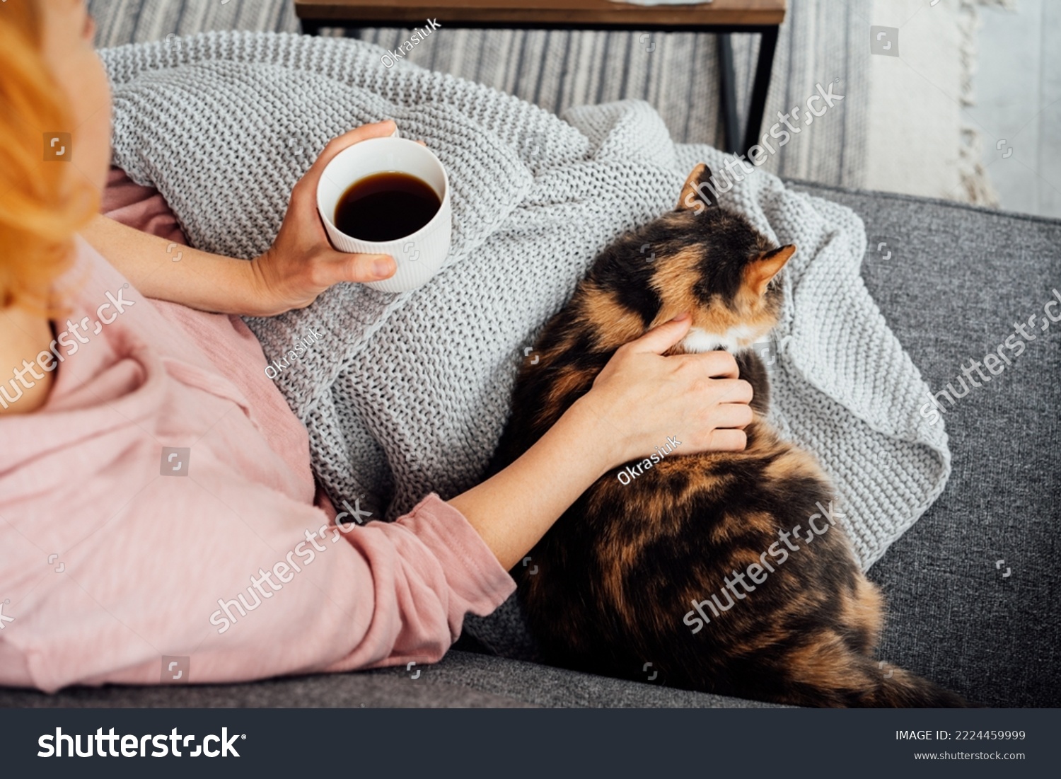 Close-up woman in a plaid drinking hot tea, petting a relaxed cat on the sofa at home. Cozy and comfortable winter or autumn weekends. Pleasant ways to keep warm. Take a break and relax #2224459999