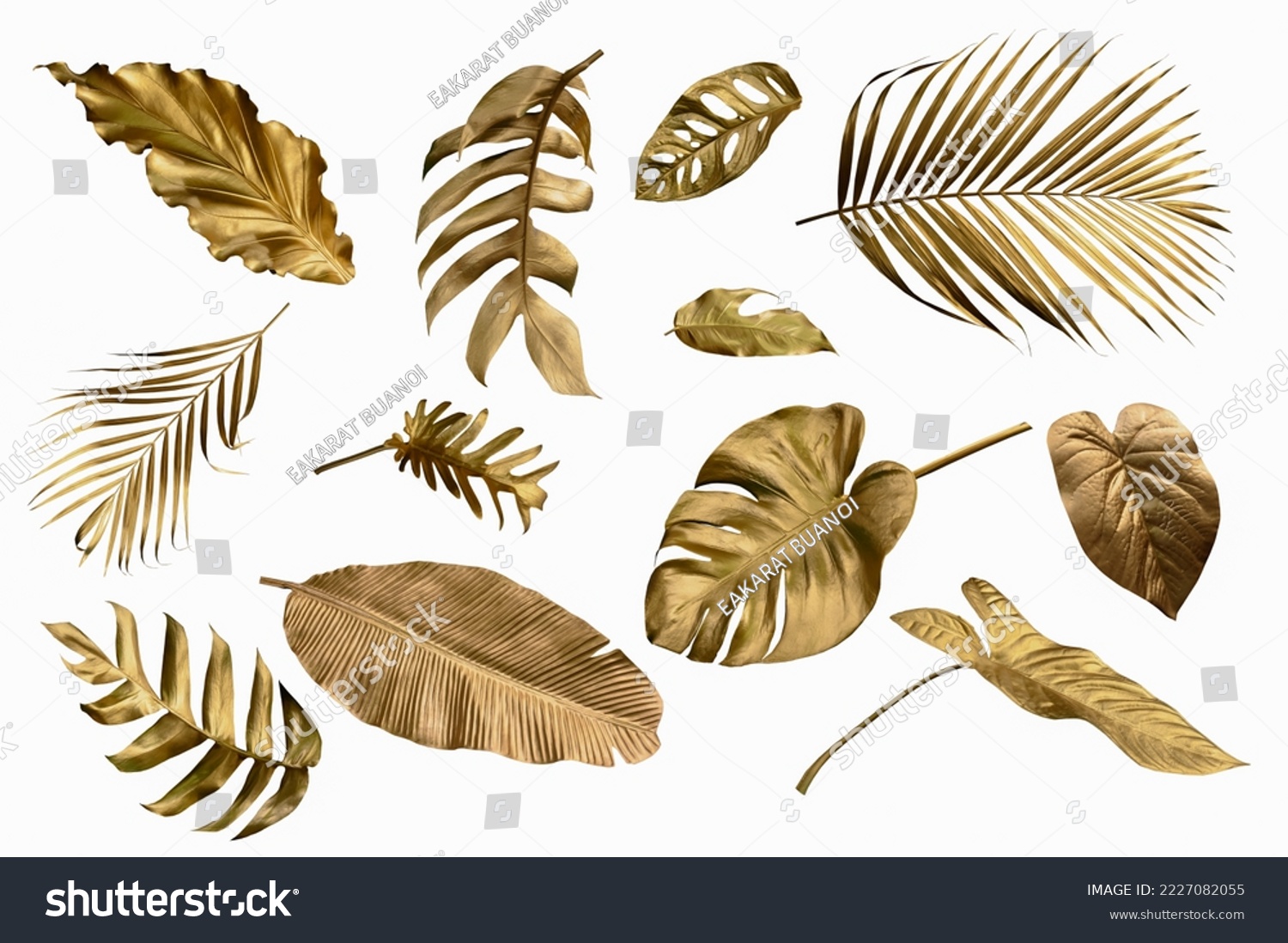 Gold monstera leaves plant frame isolated on a white background. top view. copy space. abstract. #2227082055