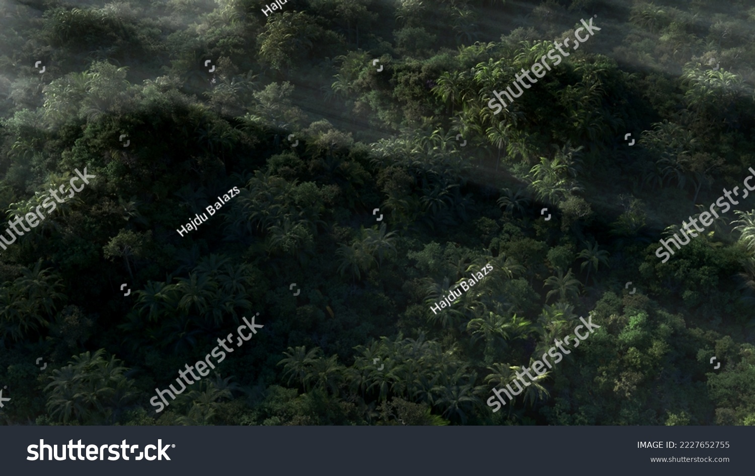 cgi rainforest from the distance #2227652755