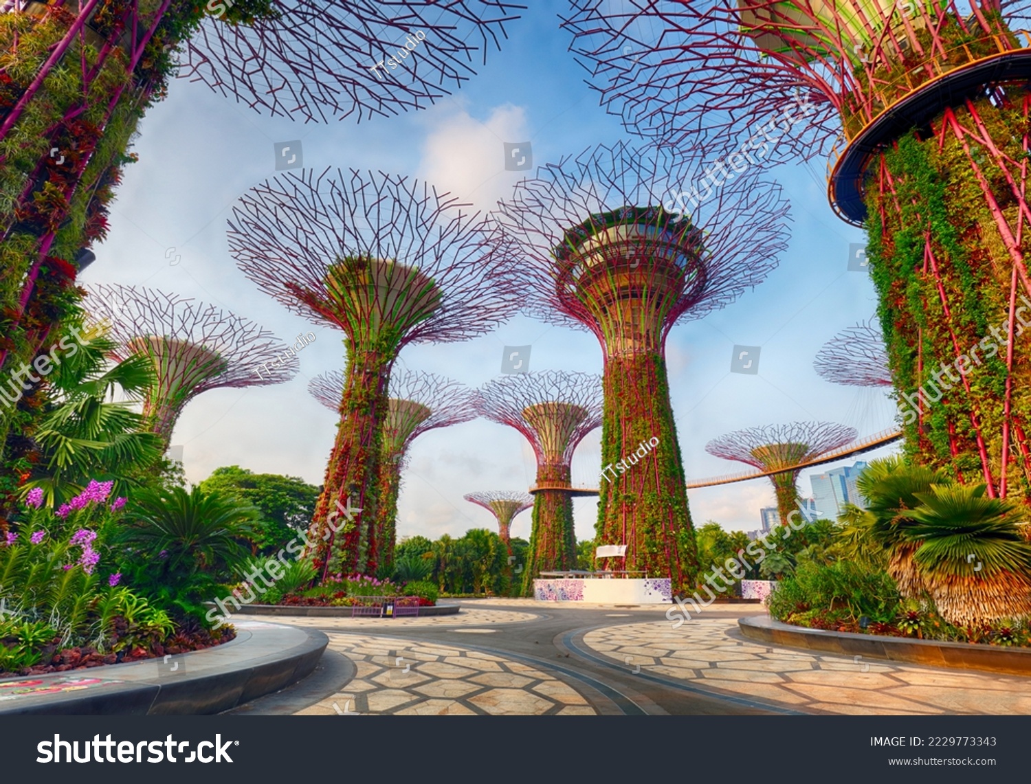 Supertree Grove in Garden by the Bay at Singapore. Landscape of Singapore business building around Marina bay. #2229773343