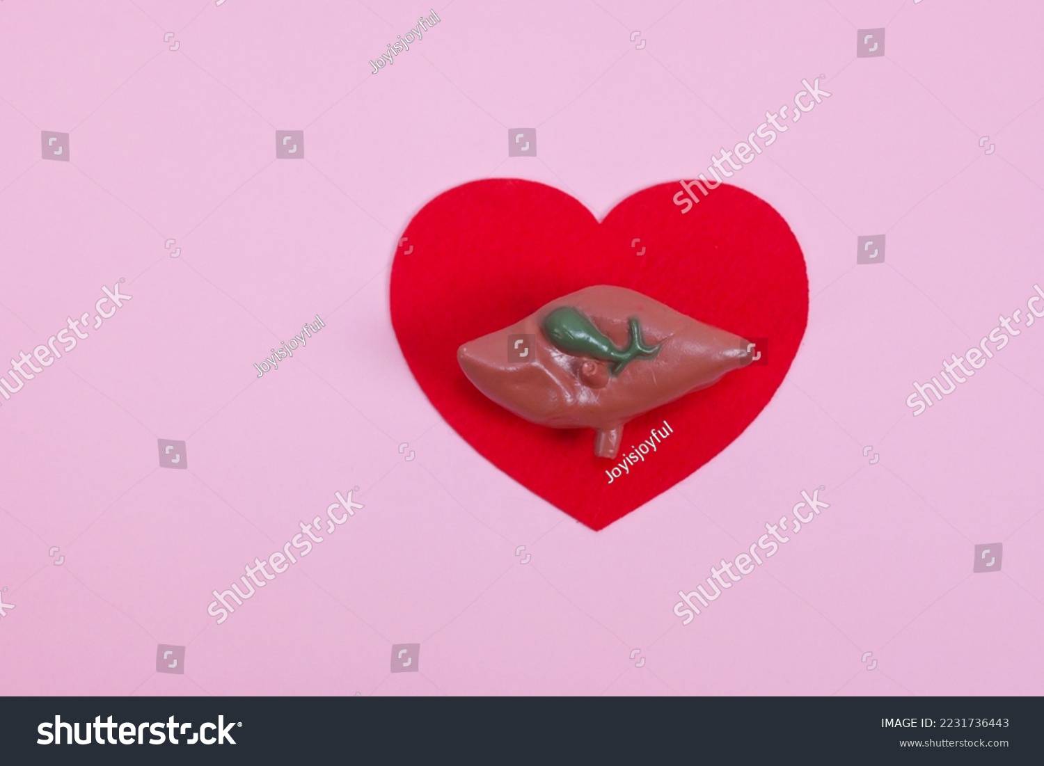 liver organ on heart shape background , caring health concern concept, prevention from liver disease , detoxify organ, important organ love and feel grateful for your body #2231736443