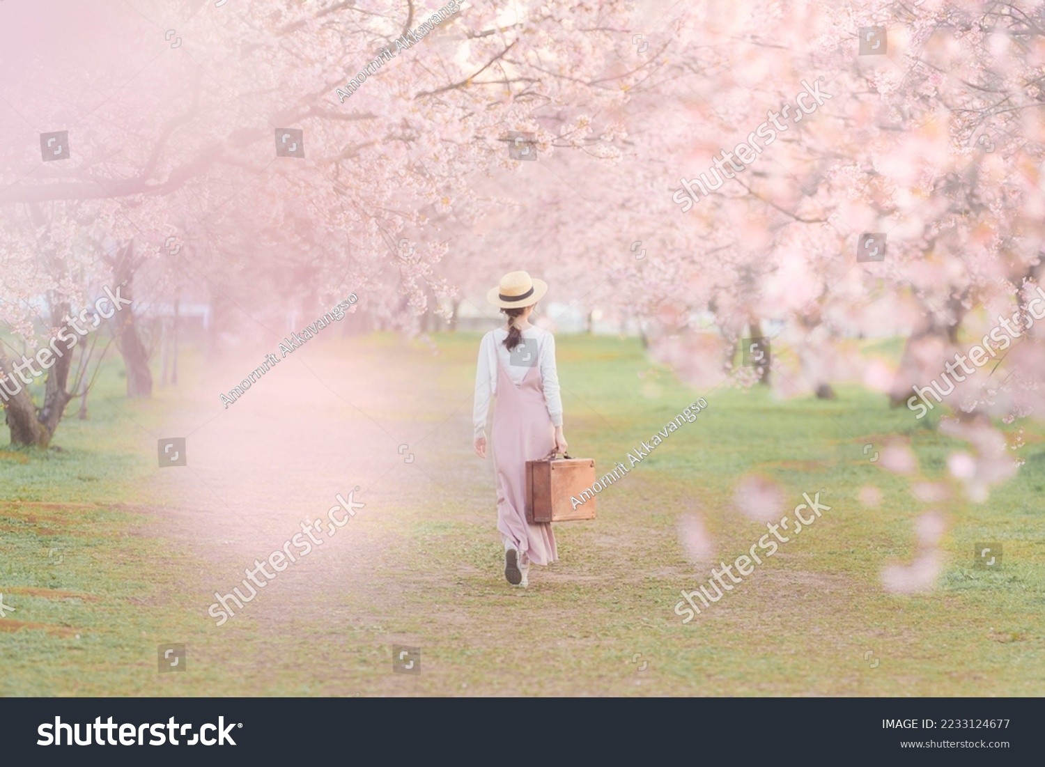 Young woman among beautiful cherry blossoms in full bloom #2233124677