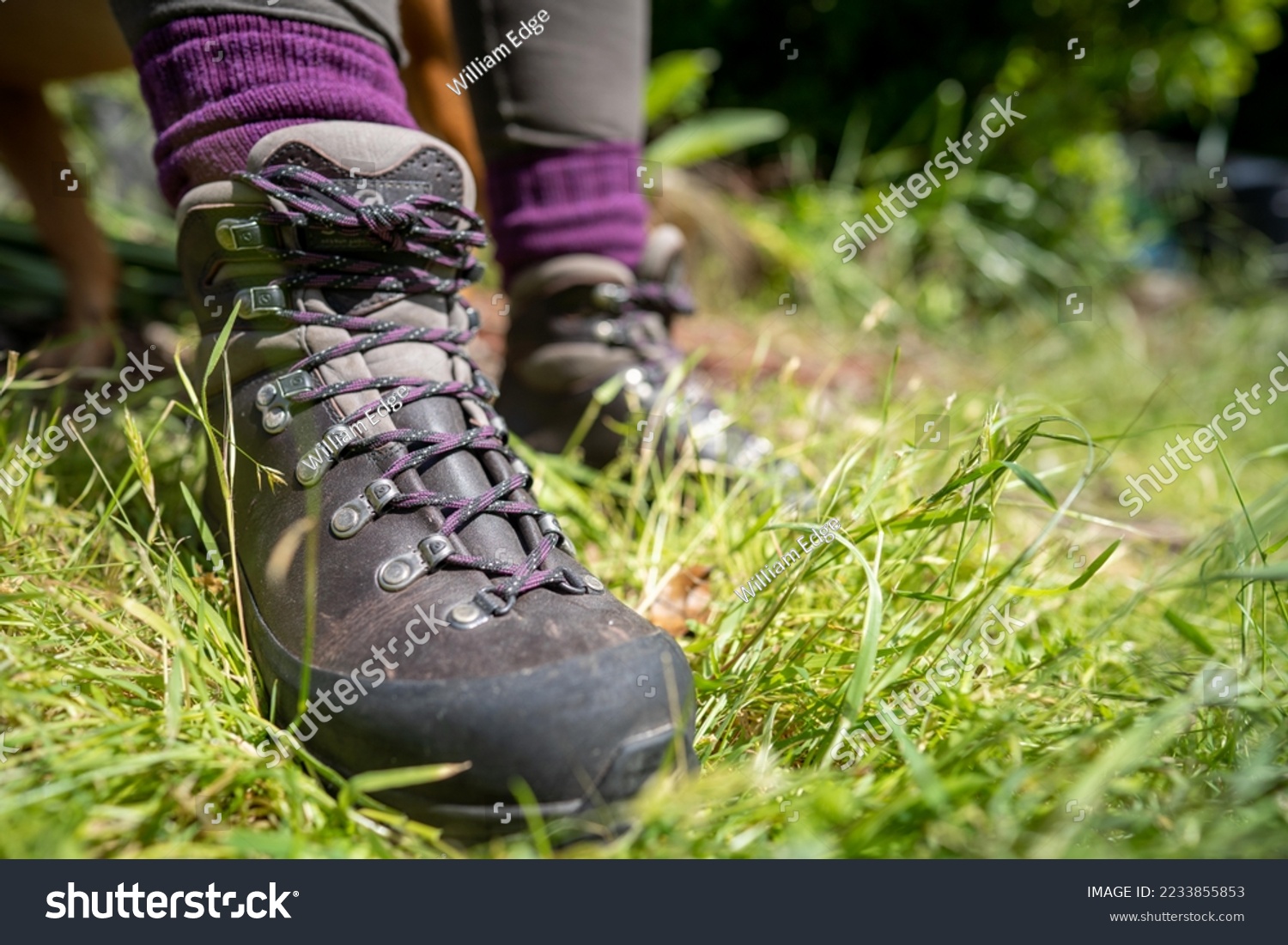 Tying shoelaces on hiking boots by a girl on a hike in spring #2233855853