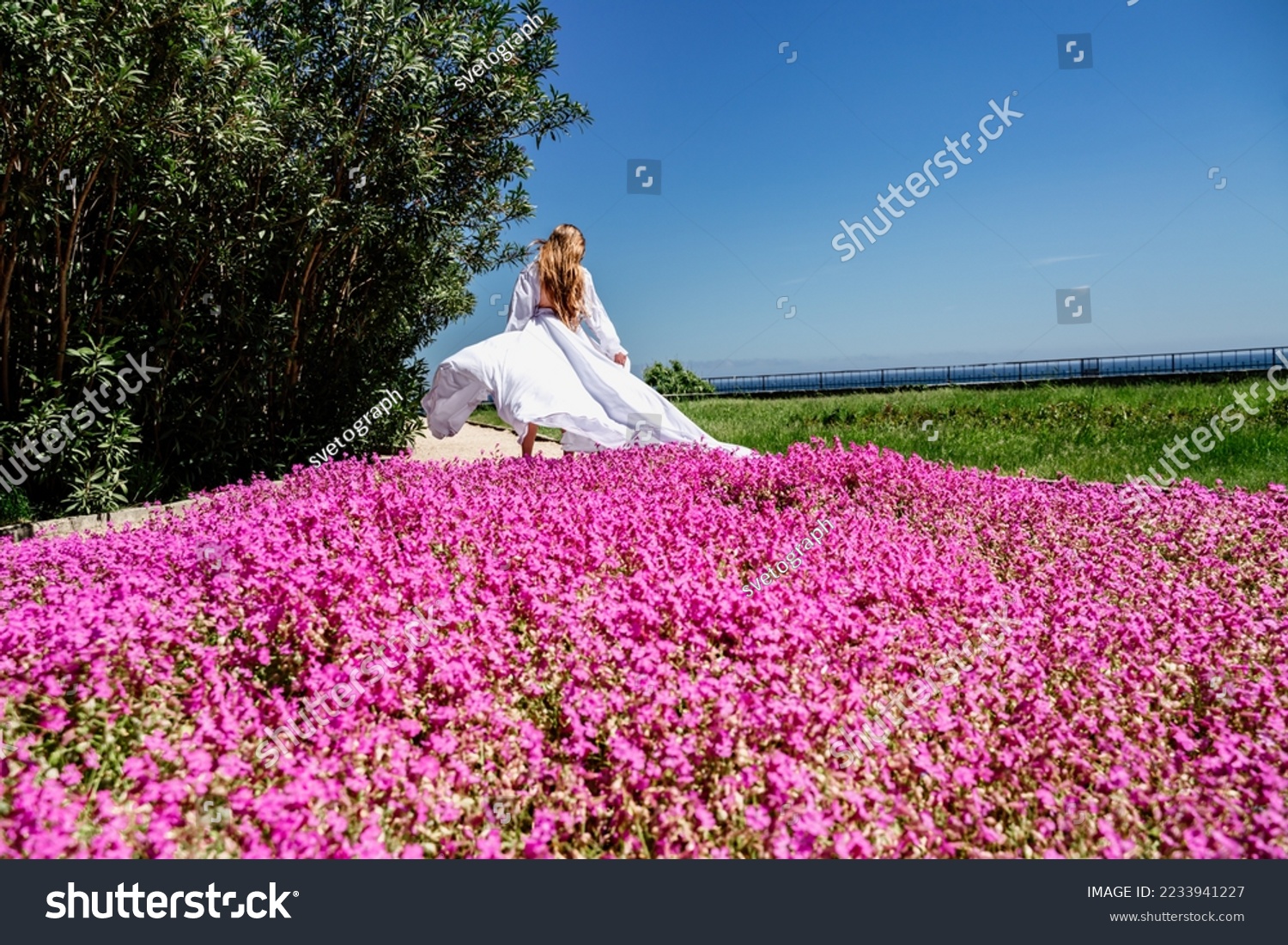 a beautiful woman in a white flowing long dress stay near a beautiful field with pink flowers rear view #2233941227