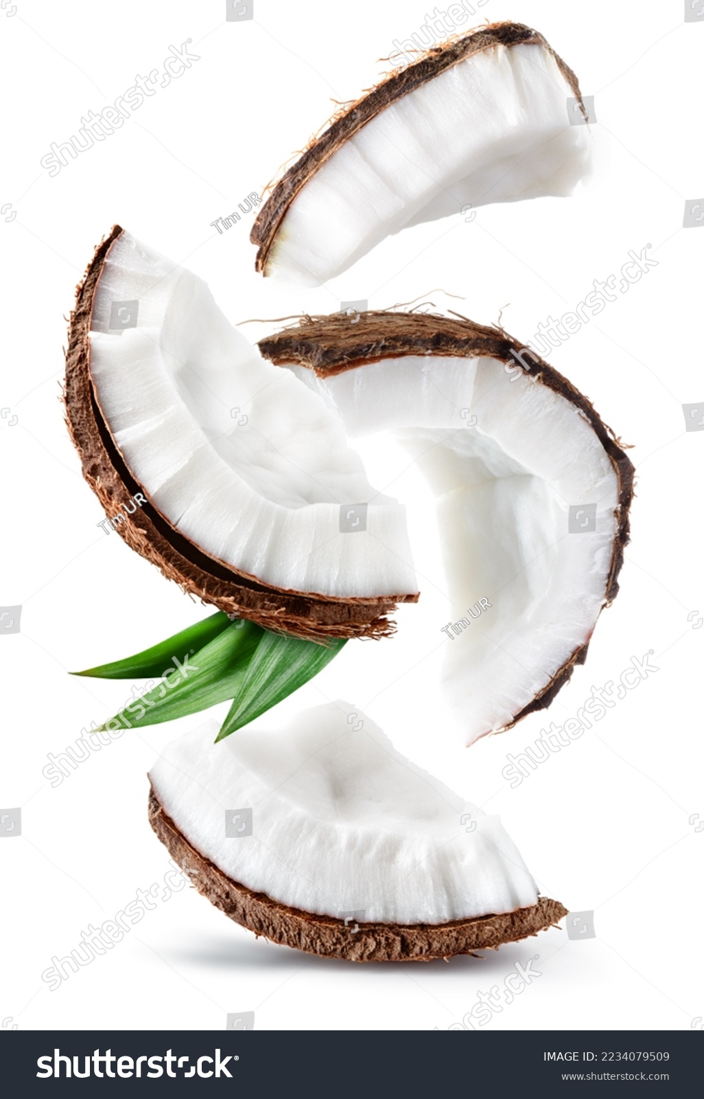 Coconut isolated. Coconut slice and piece with leaves on white background. Broken white coco flying. Composition. Full depth of field. #2234079509