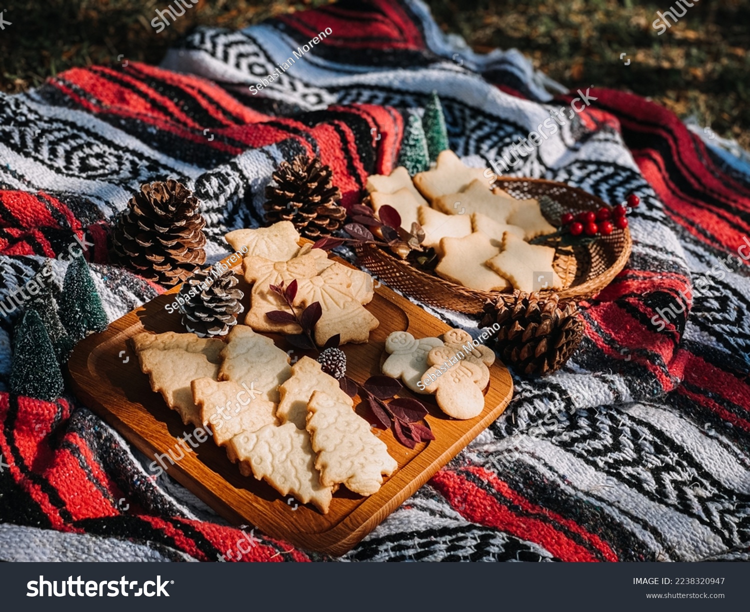 Christmas treats on picnic blanket #2238320947