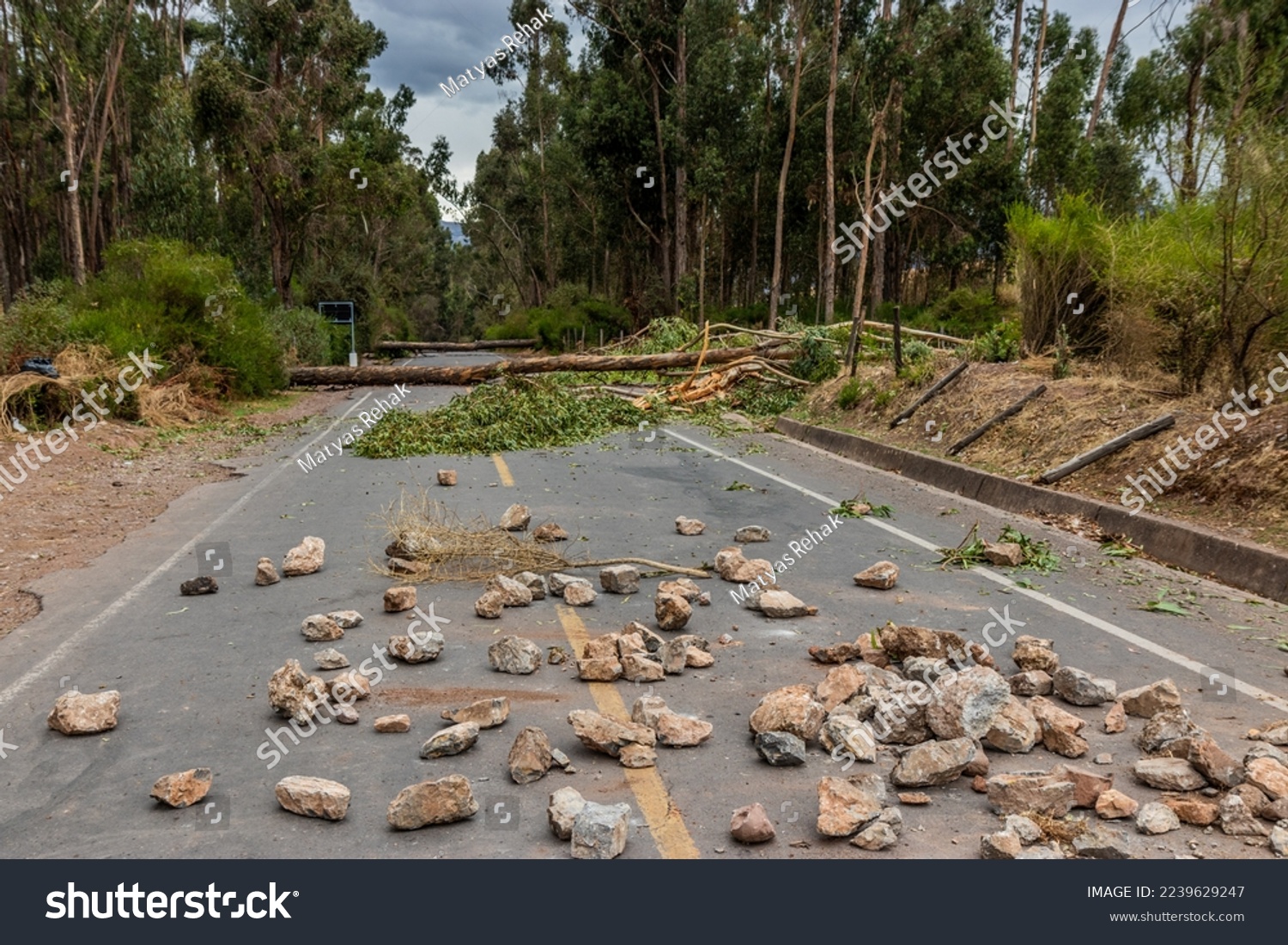 Stones and trees blocking 28G road during protests on December 15, 2022 near Cusco, Peru #2239629247