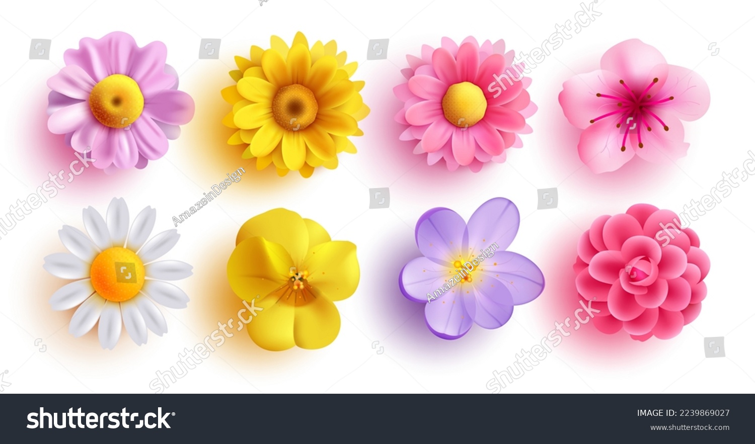 Spring flowers set vector design. Spring flower collection like daffodil, sun flower, crocus, daisy, peony and chrysanthemum fresh and blooming elements isolated in white background. Vector  #2239869027