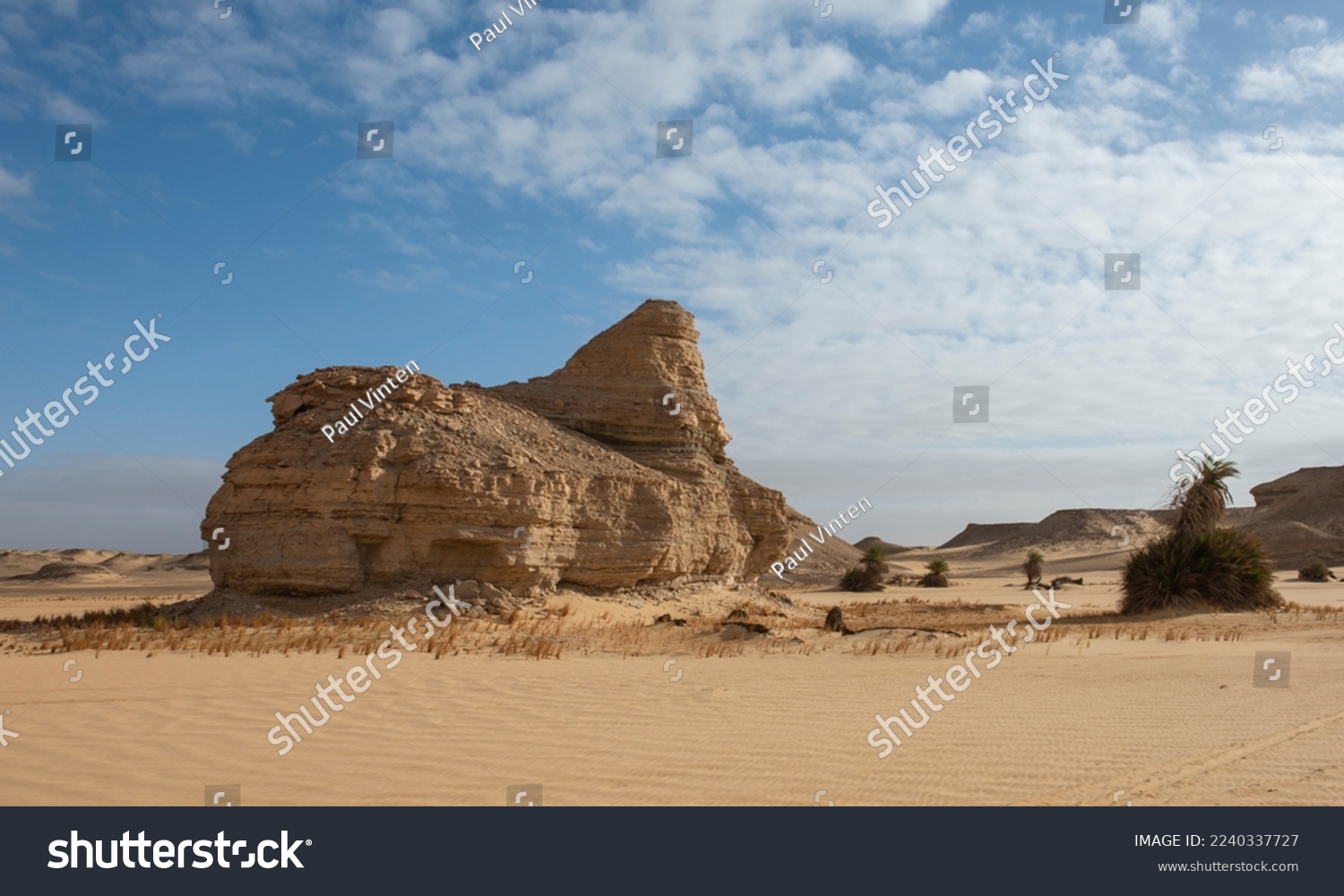 Landscape scenic view of desolate barren western desert in Egypt farafra oasis with rock formation on sand dunes and bushes #2240337727