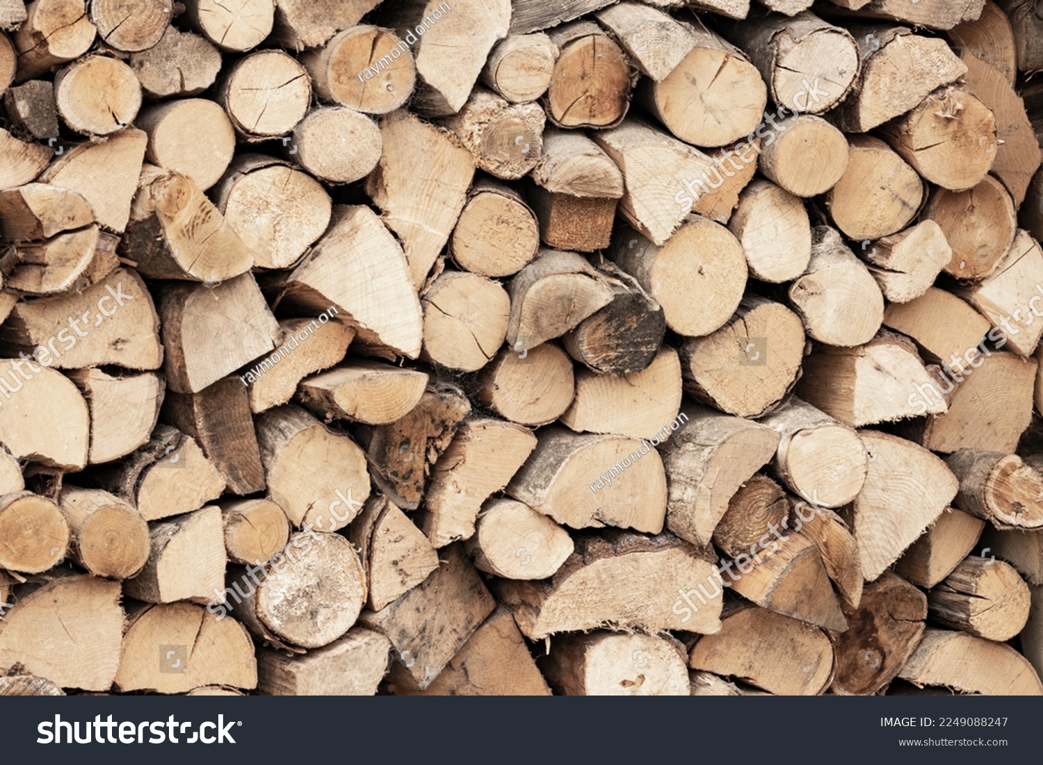 A supply of split and dried hardwood logs stacked up and ready for a cold winter #2249088247