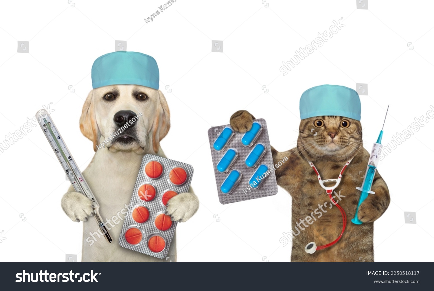 A beige cat with a stethoscope and a dog labrador with pills are doctors. White background. Isolated. #2250518117