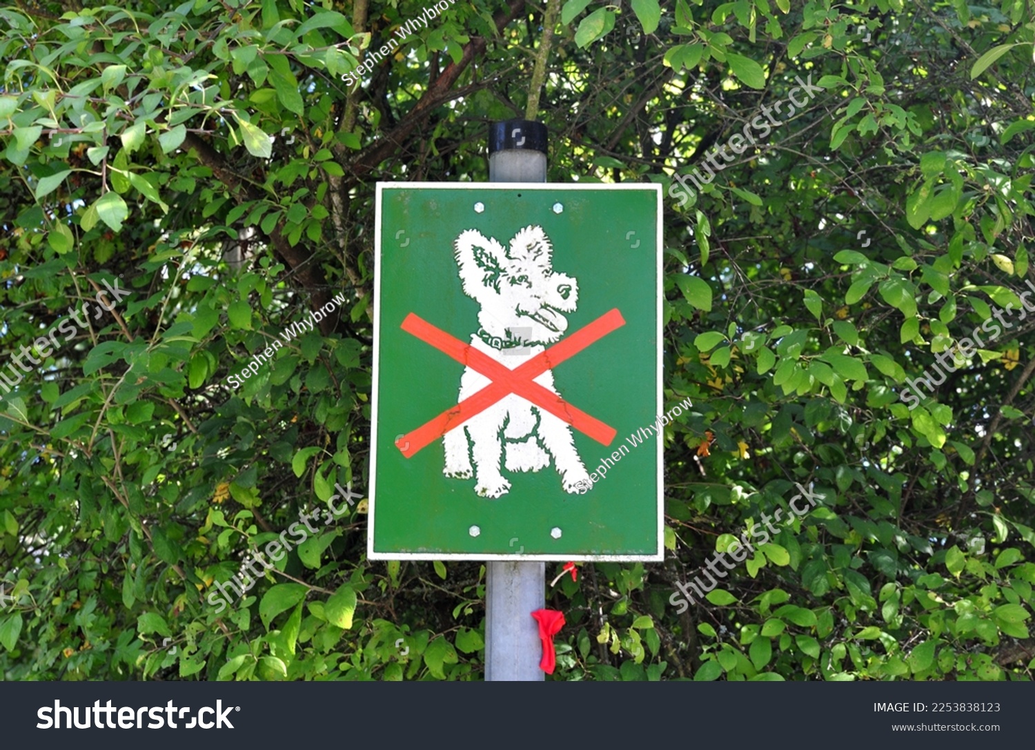 Sign in Park with Logo 'No Dogs' and Red Cross #2253838123