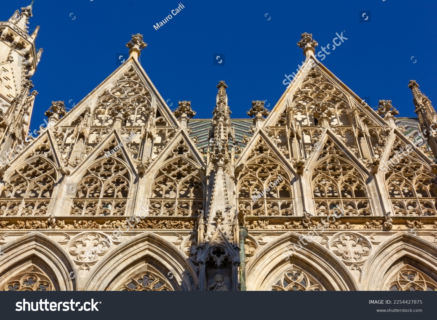 Detail of the exterior of the St. Stephen's Cathedral in Vienna, Austria, the most important religious building of the city #2254427875
