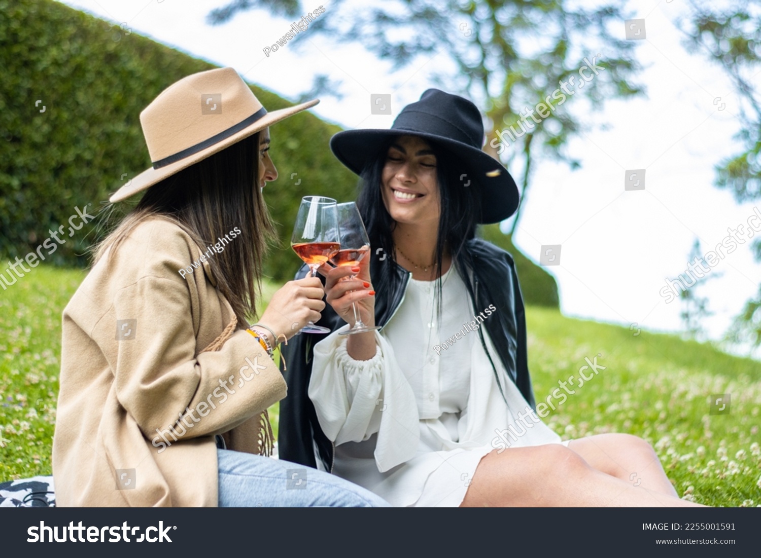 Portrait of two funny friends having a good time drinking wine and laughing in the park. #2255001591