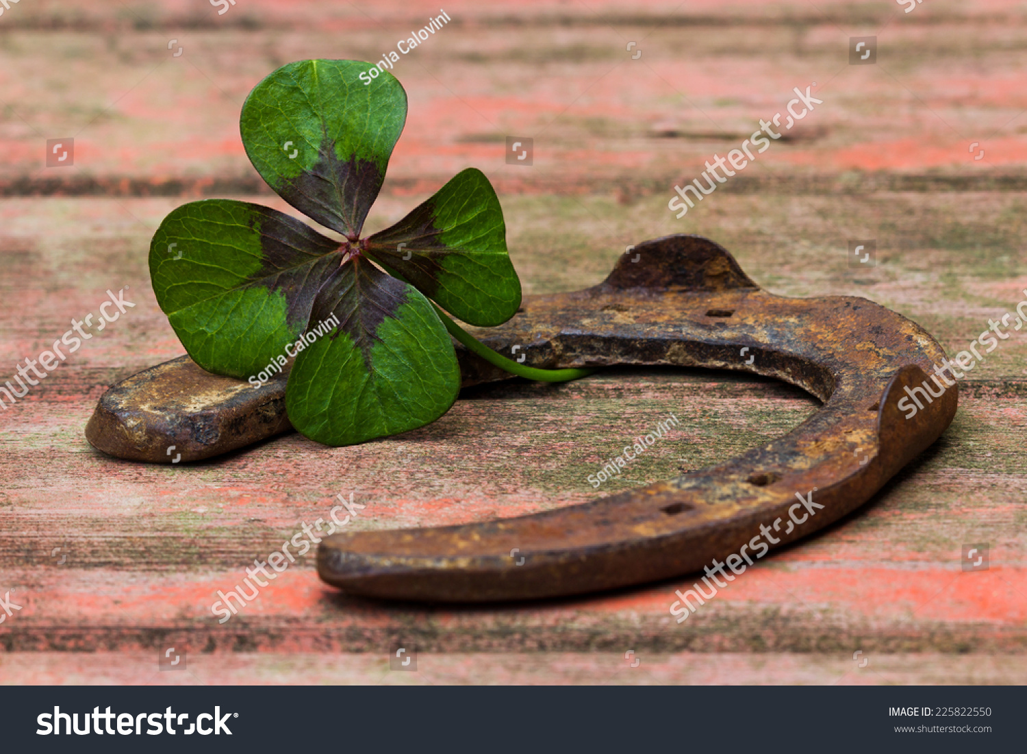 horseshoe and four leaf clover on wood #225822550