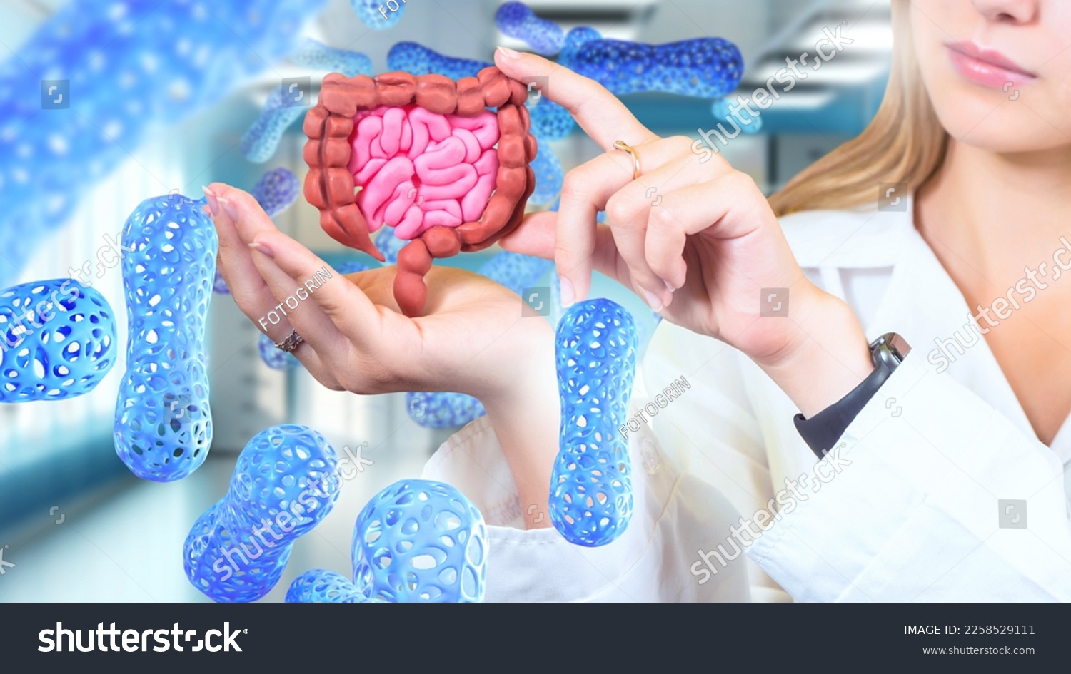 Digestive system. Doctor girl hands with intestines model. Probiotic cells for human digestion. Useful microorganisms for treatment of intestines. Microflora gastrointestinal tract. Probiotic climate #2258529111